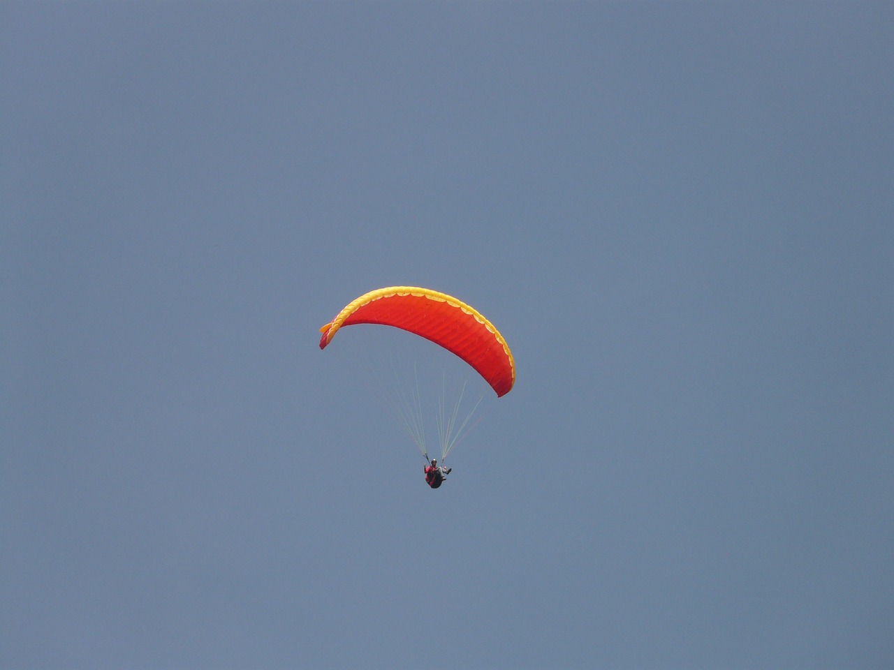 paraglider paragliding sky free photo