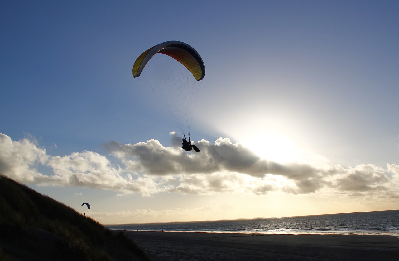 paraglider  beach  paragliding free photo