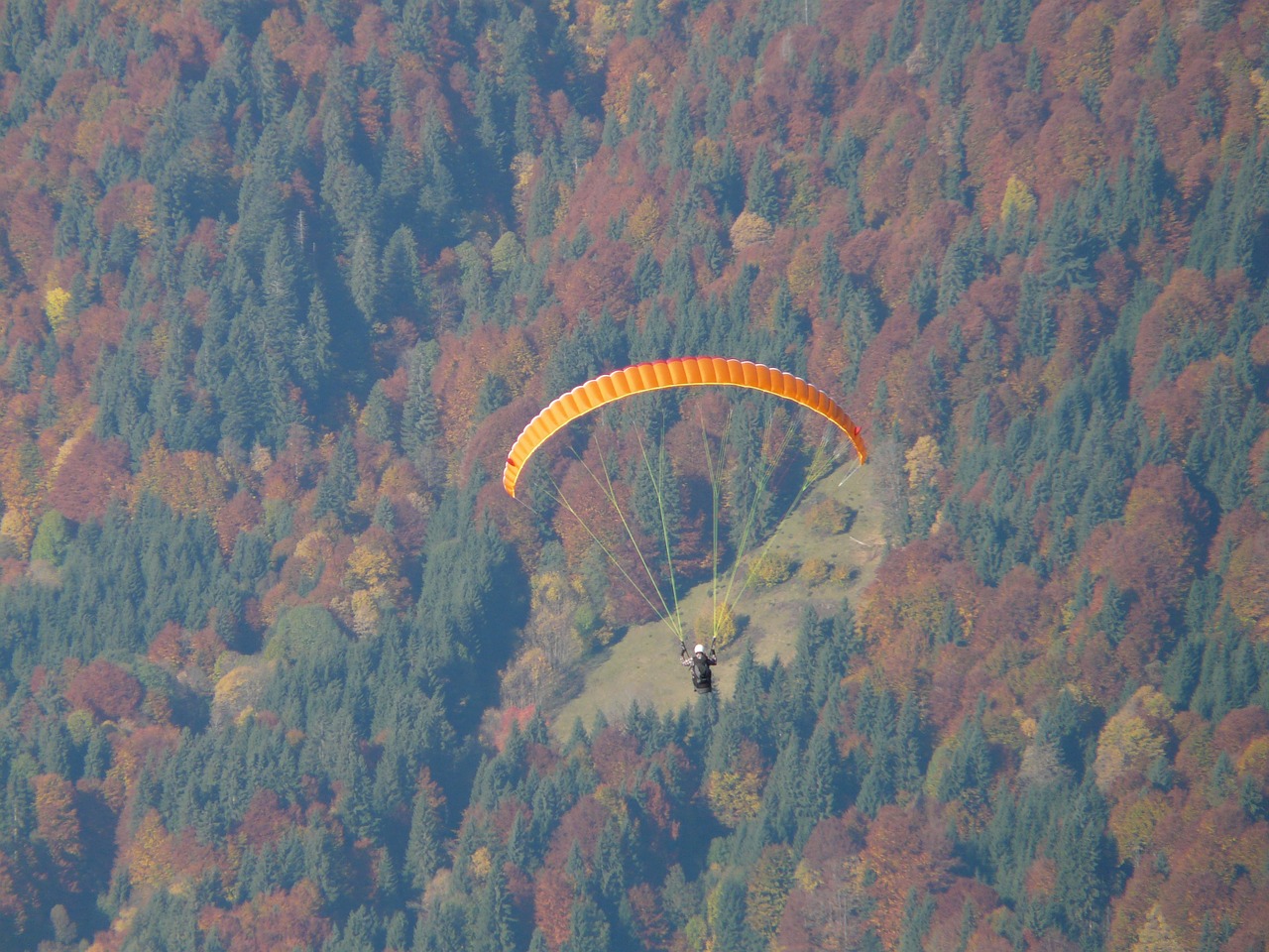 paraglider fly flight free photo