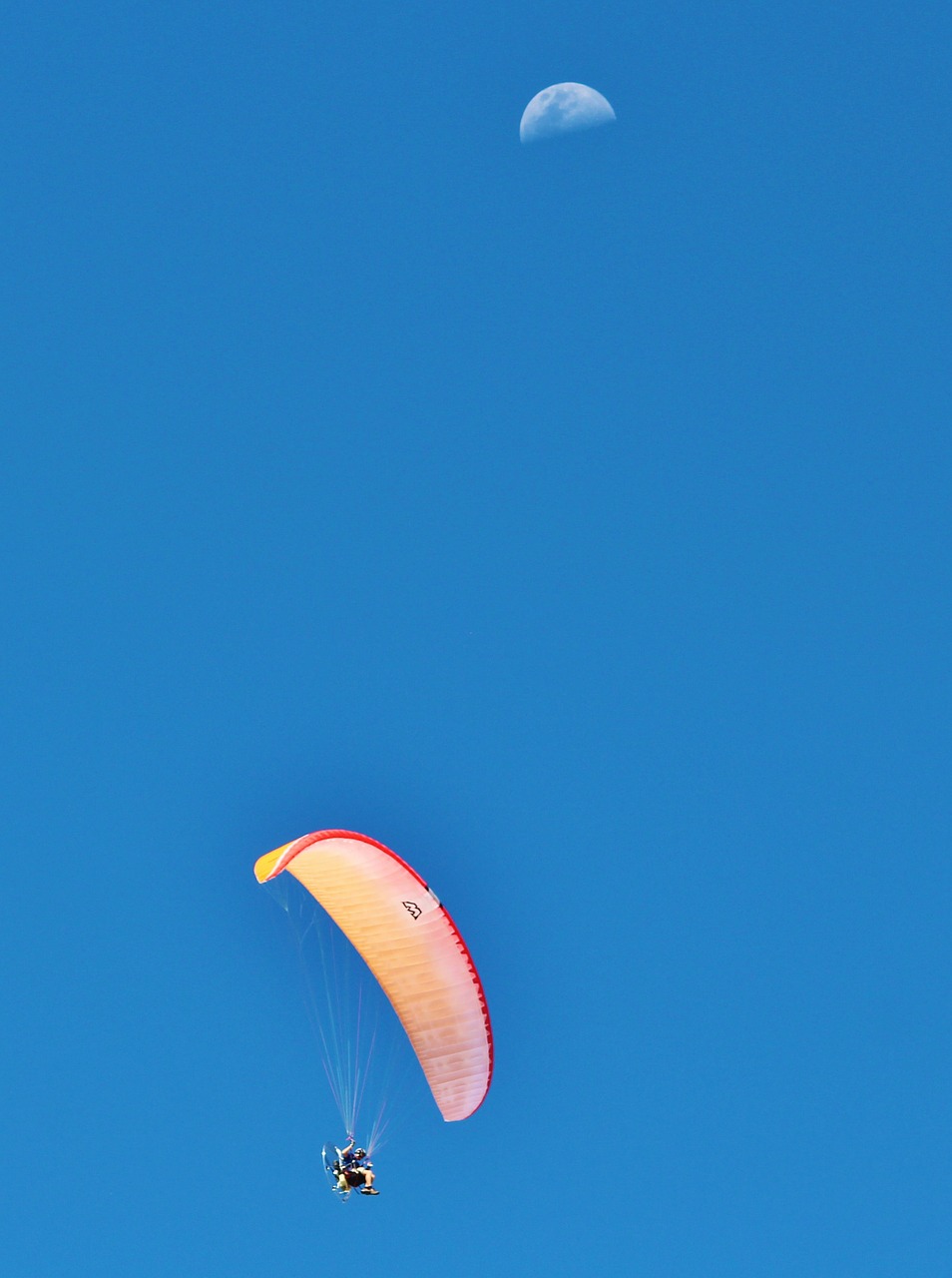 paraglider motor gliders paragliding free photo