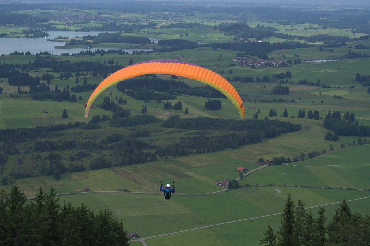 paraglider springer paraglider springer free photo