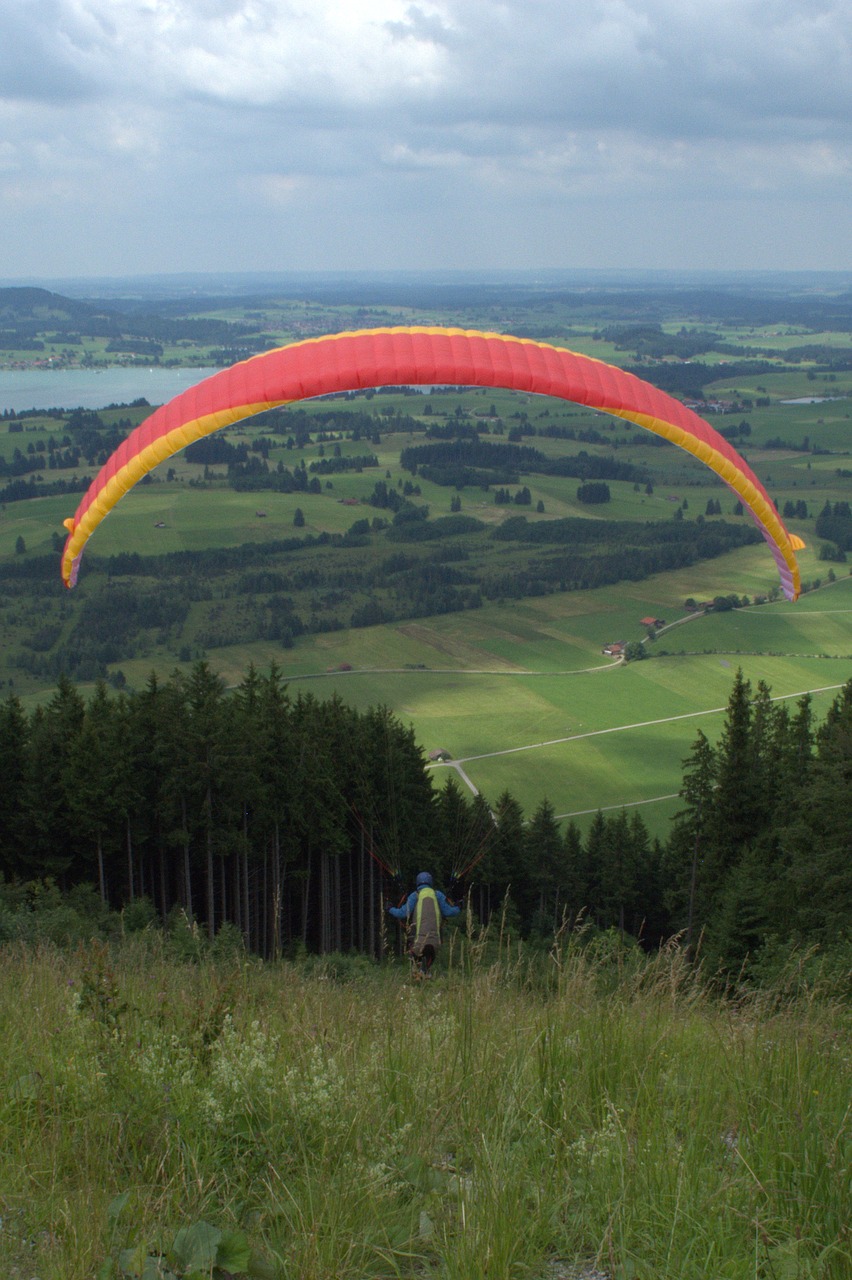 paraglider springer paraglider springer free photo