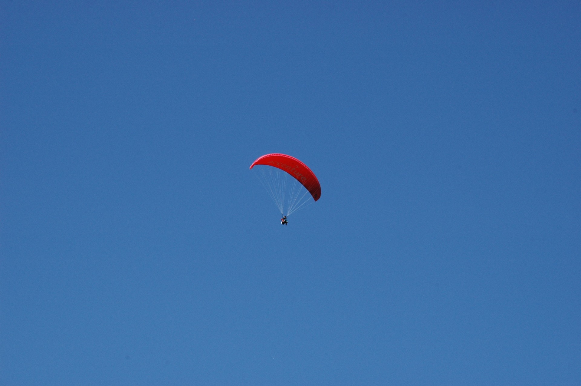 red blue paraglider free photo
