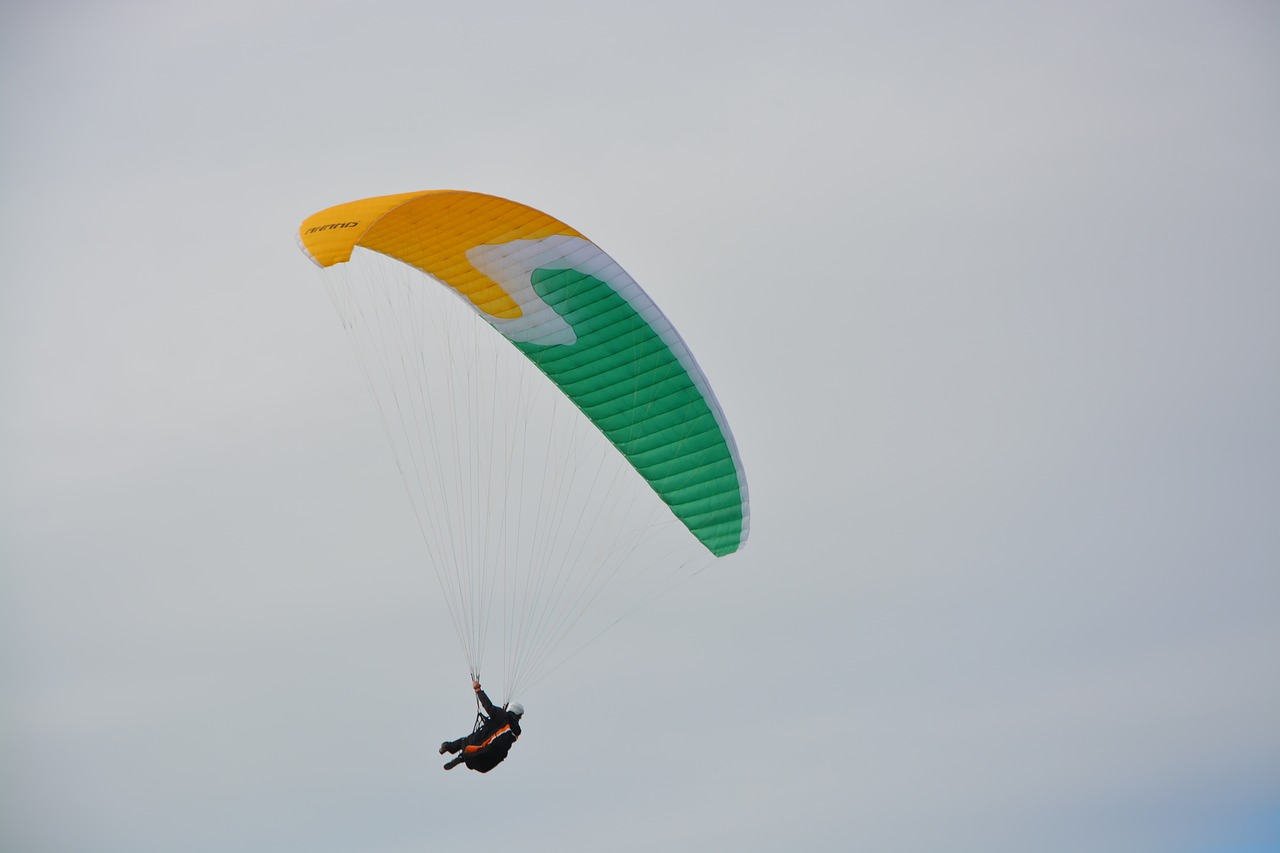 paragliders  sails  wings paragliding free photo