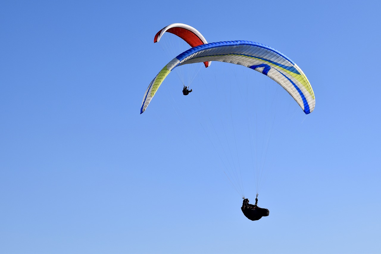 paragliders  paraglider  sails of paragliders free photo