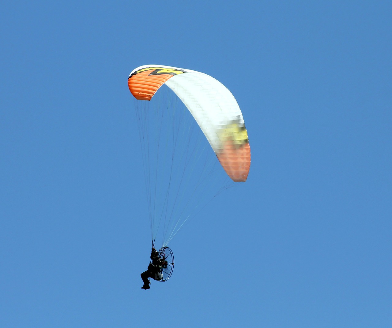 paragliders sport flight free photo