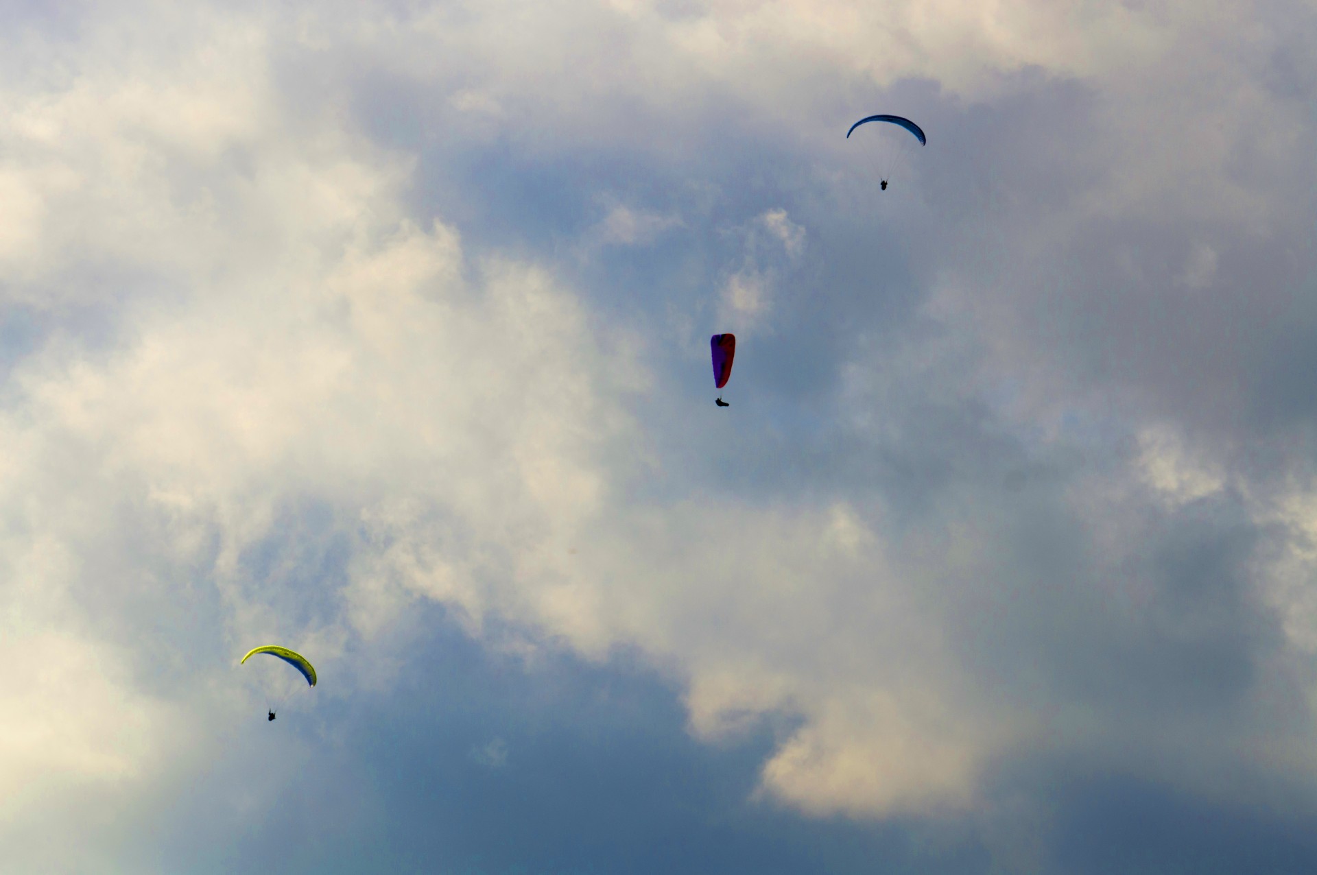 paragliders sky sports free photo