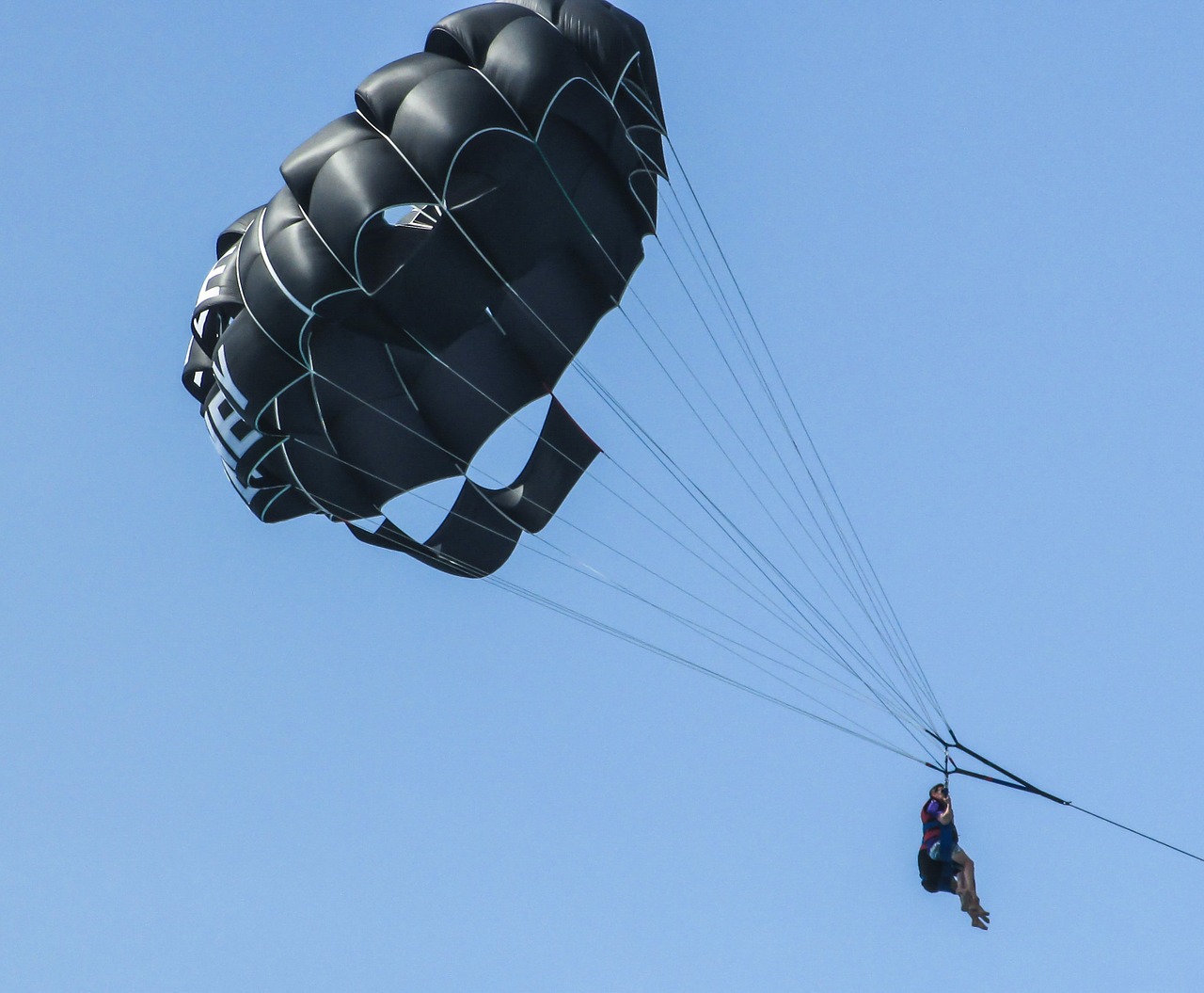 paragliding sea sport fly free photo