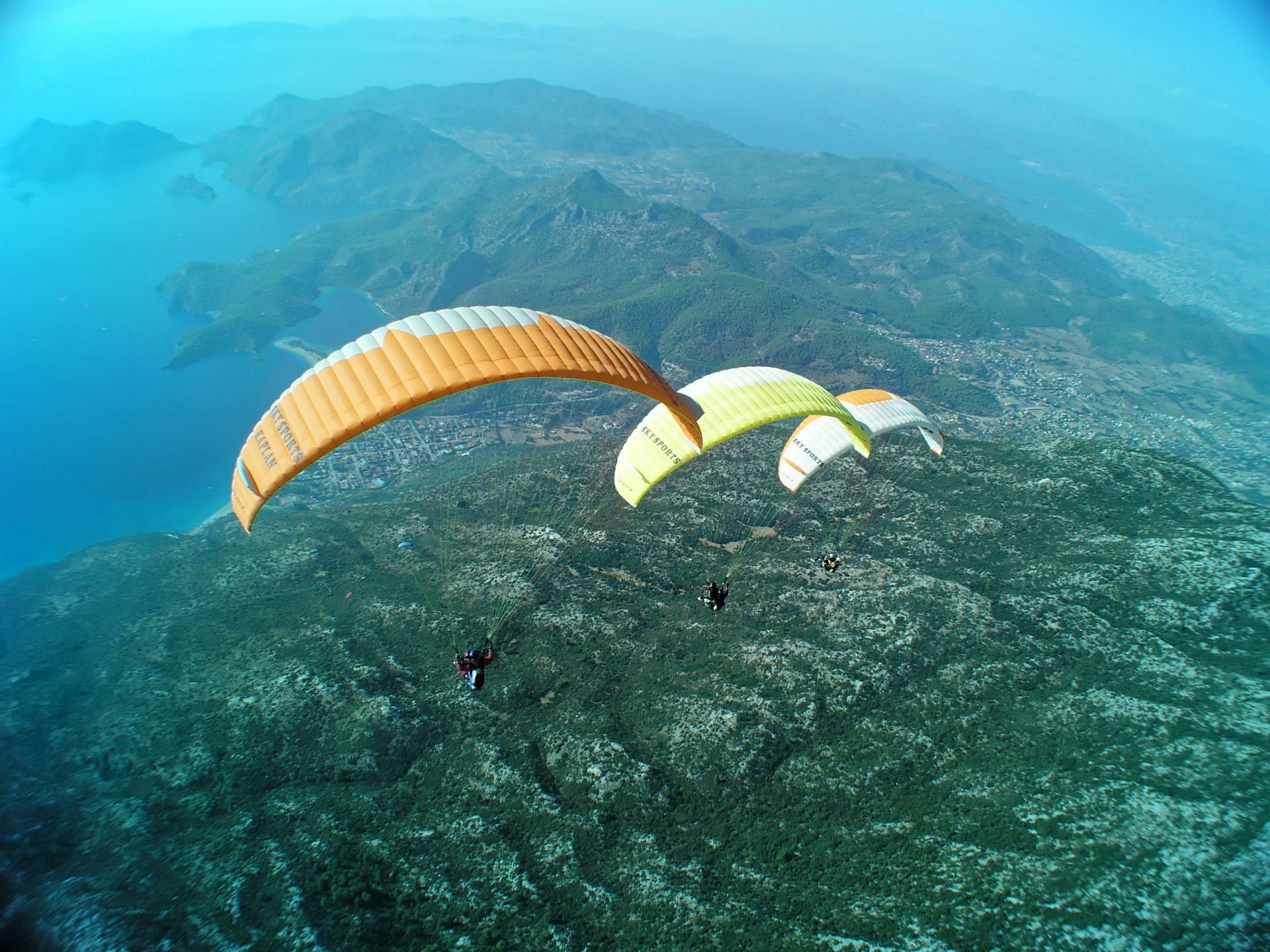 paragliding parachute sky free photo