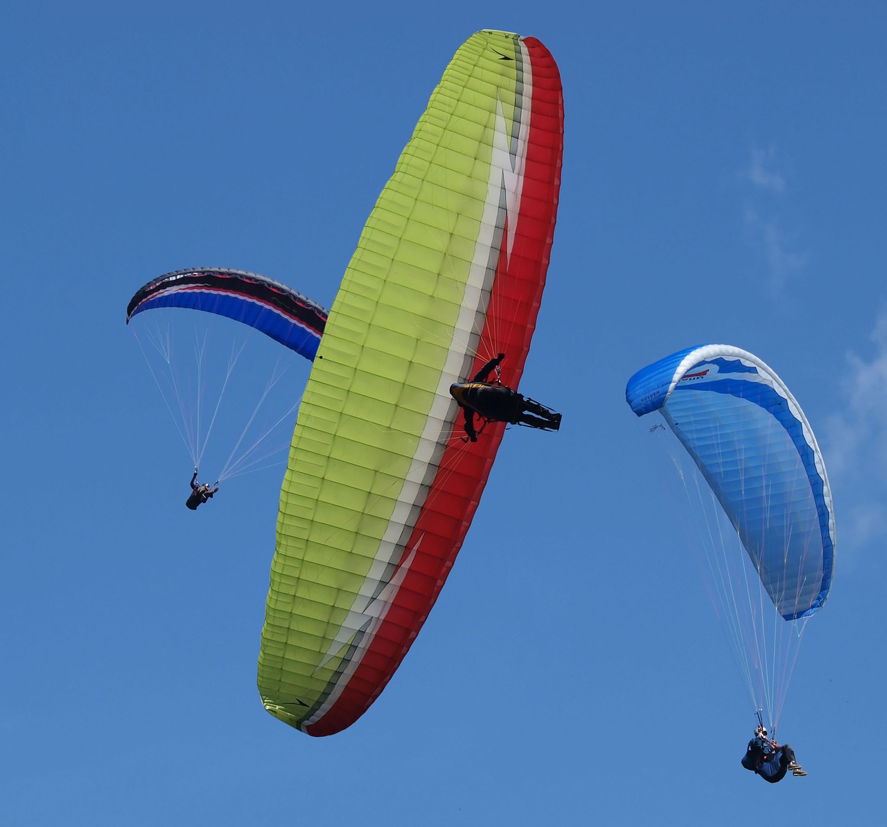 paragliding sport extreme free photo