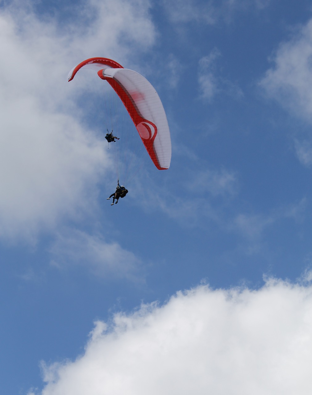 paragliding clouds sky free photo