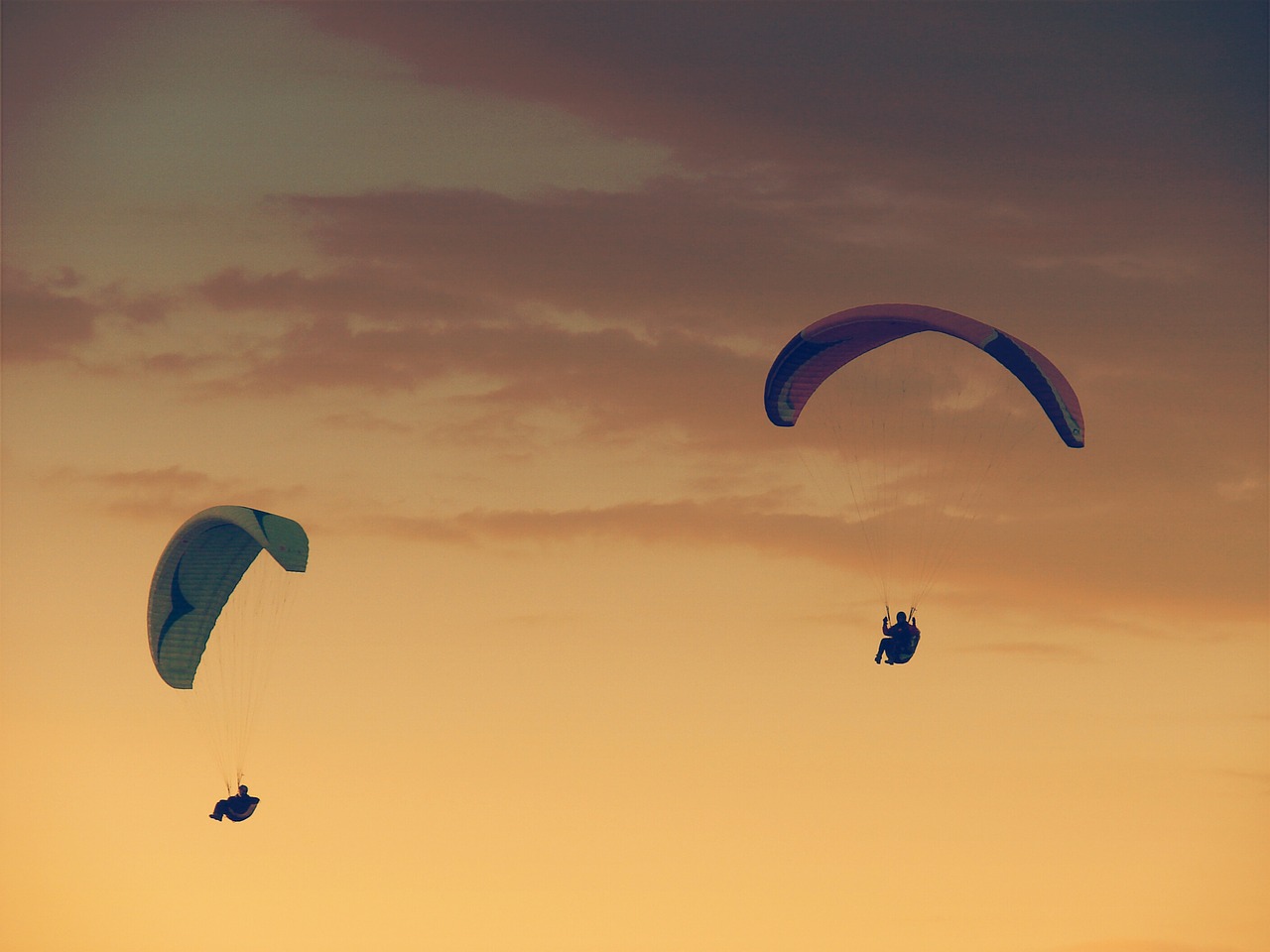 paragliding wind air free photo