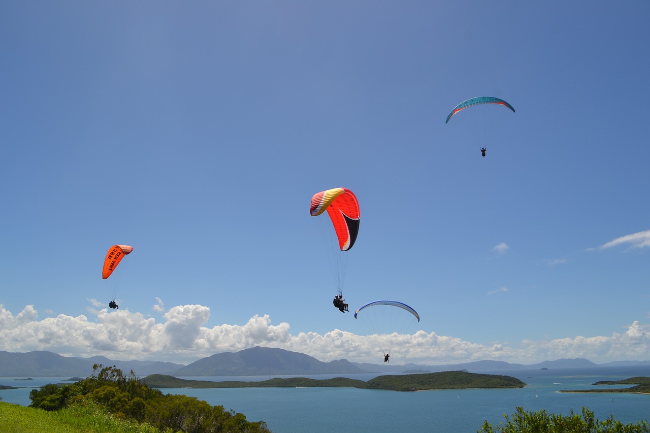 paragliding landscape ocean free photo