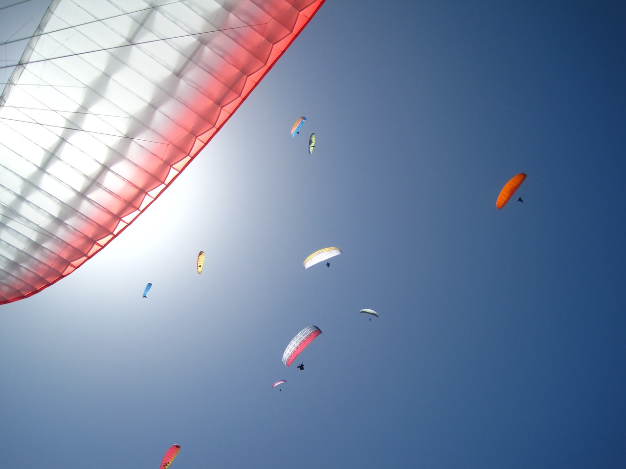 paragliding sky freedom free photo