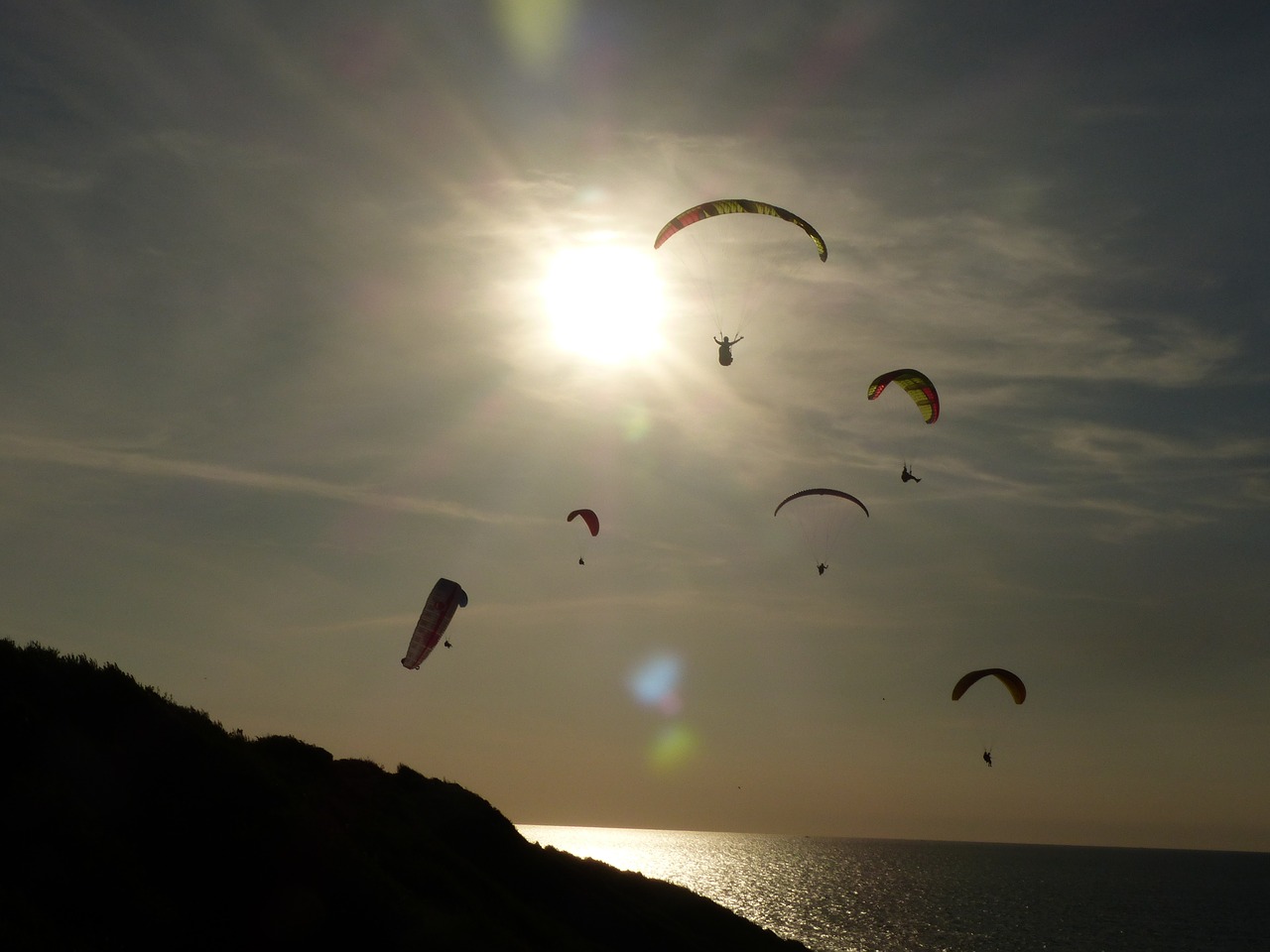 paragliding wing sun free photo