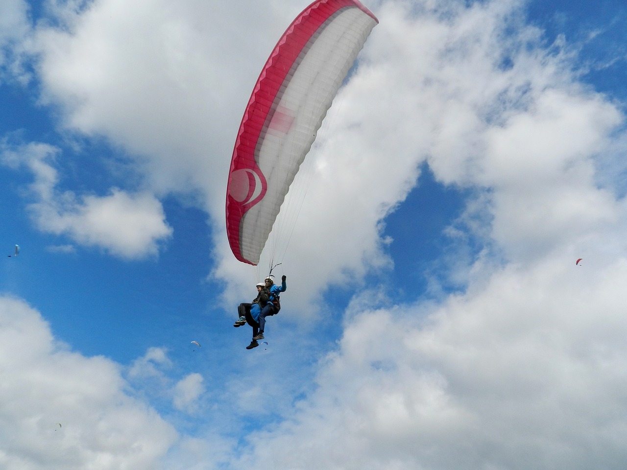 paragliding paragliding bi-place paragliders free photo
