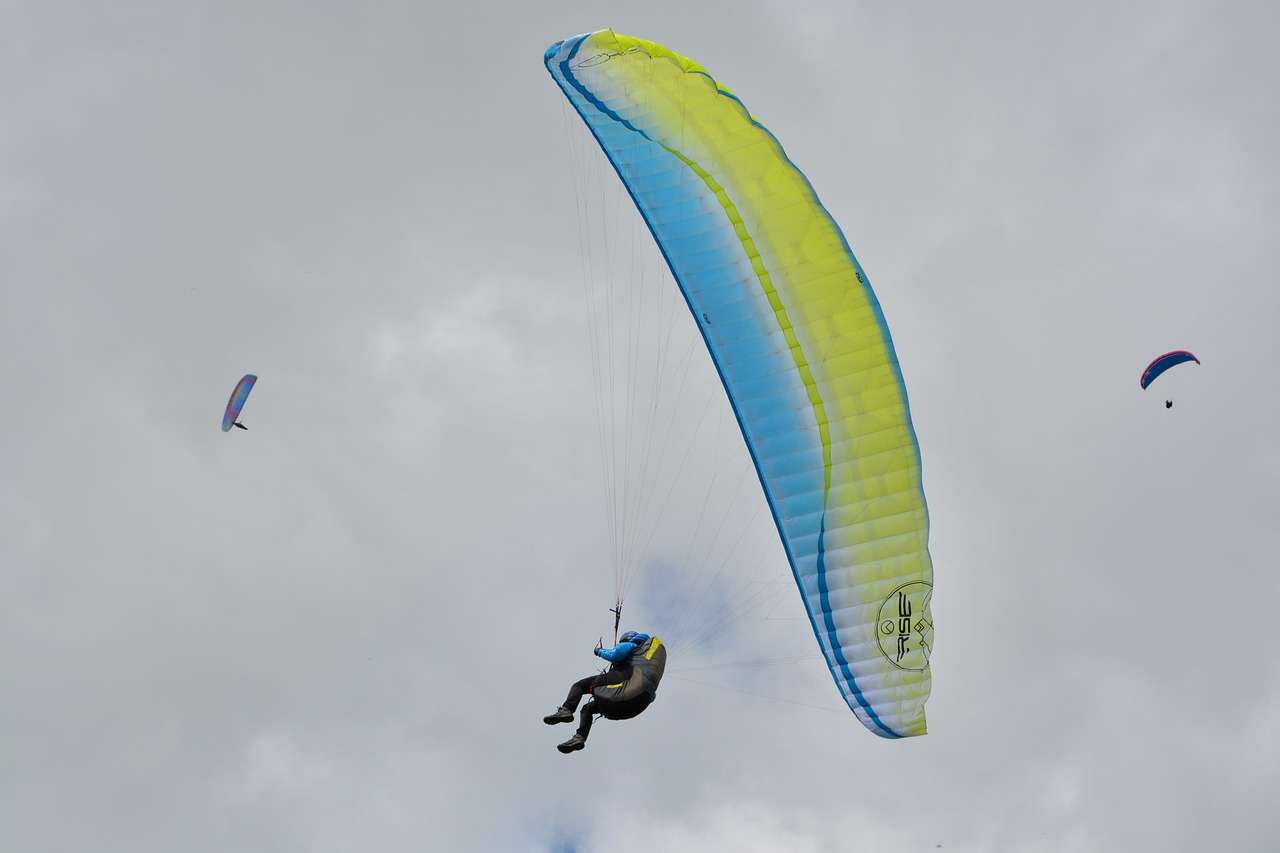 paragliding  wing paraglider blue yellow  air free photo