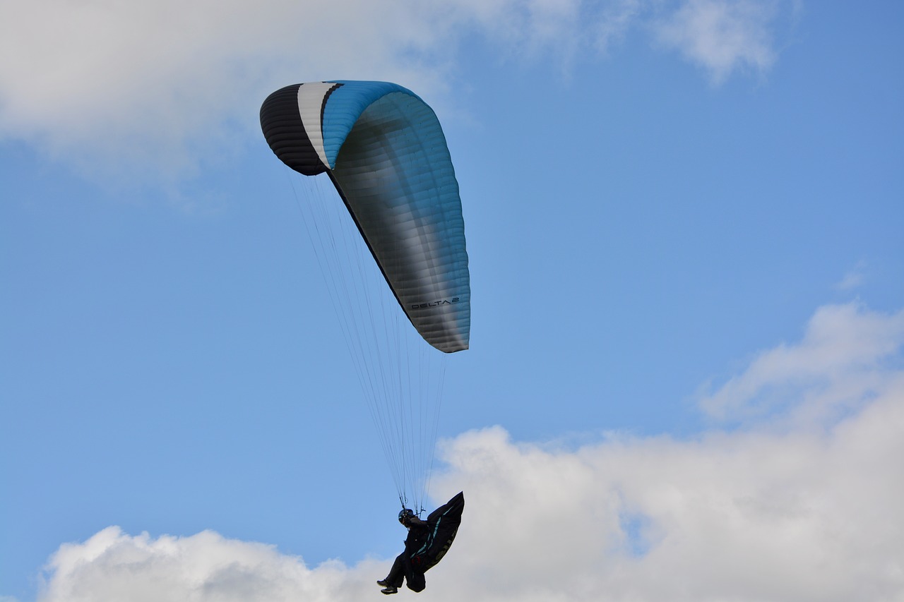 paragliding  paraglider  wing blue black white free photo
