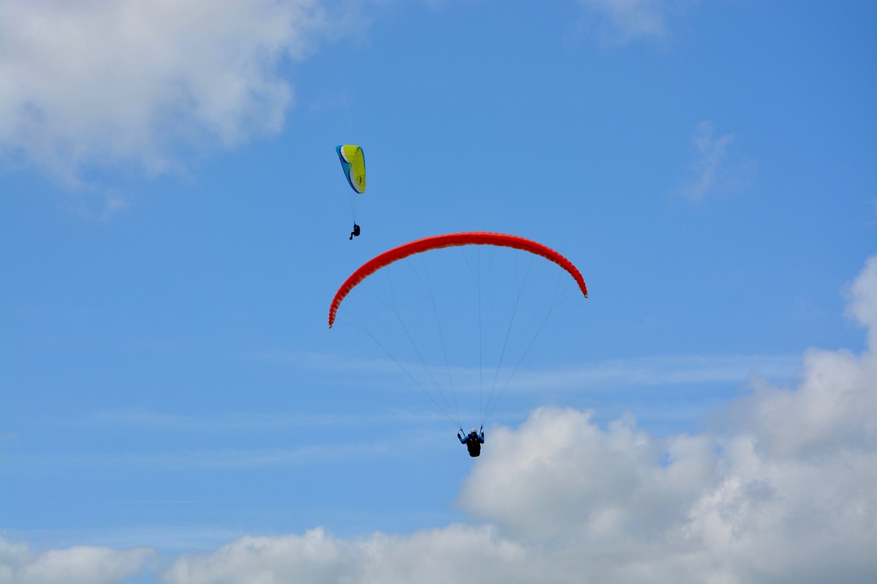 paragliding  paragliders  wings free photo