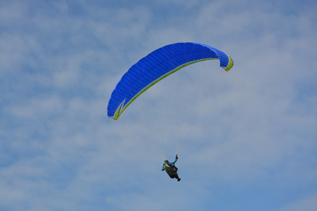 paragliding  sailing  wing blue free photo