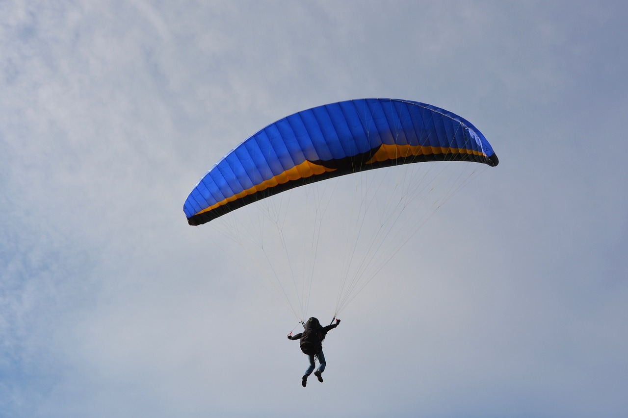 paragliding  sailing  wing blue free photo