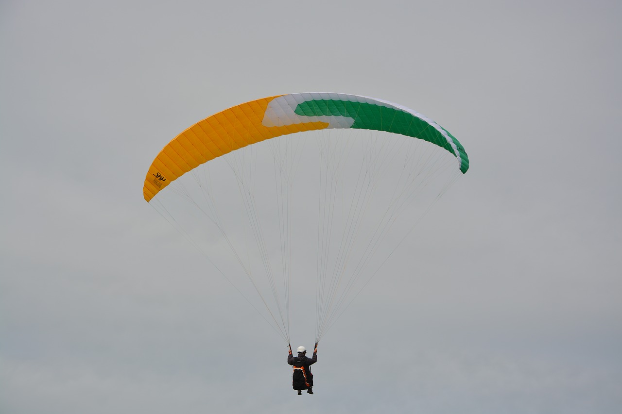 paragliding  sailing  wing blue free photo
