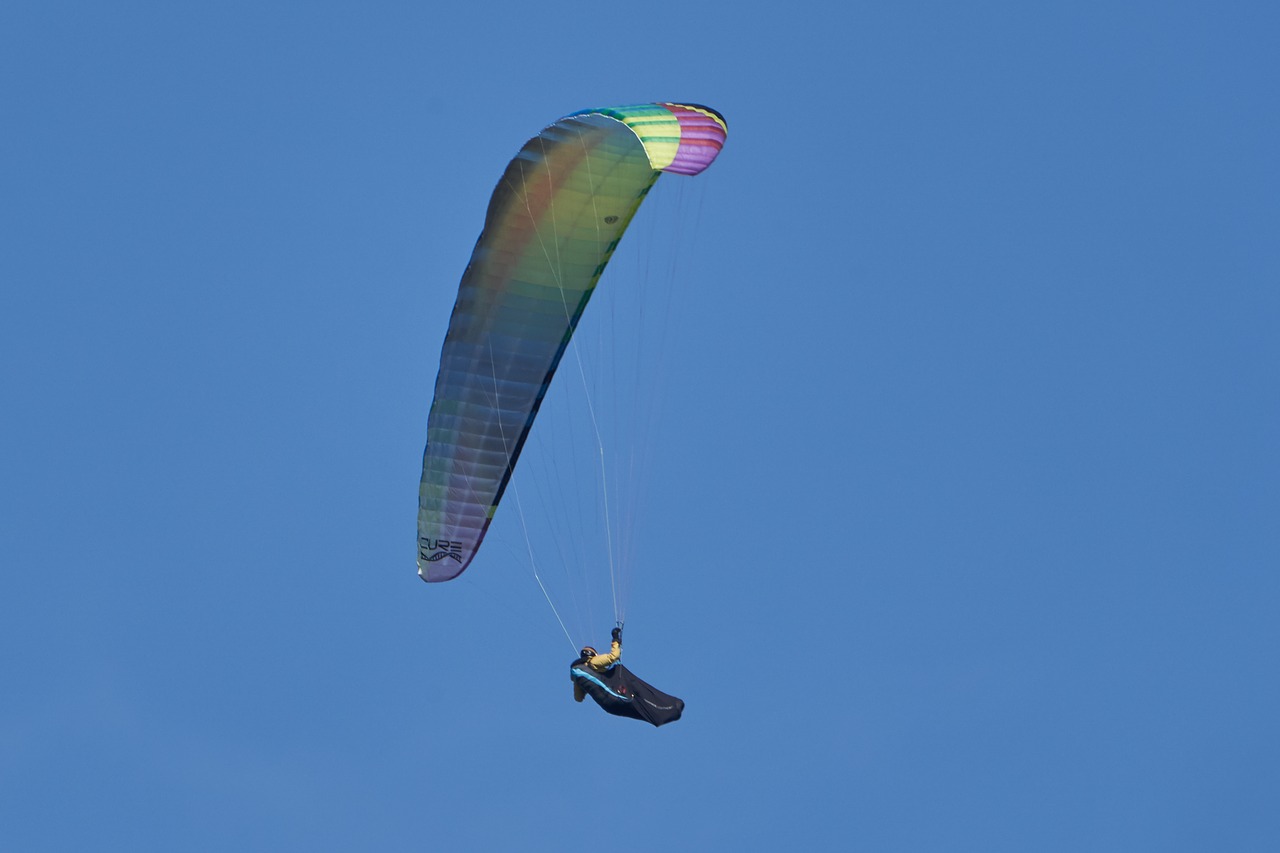 paragliding  flying  freedom free photo