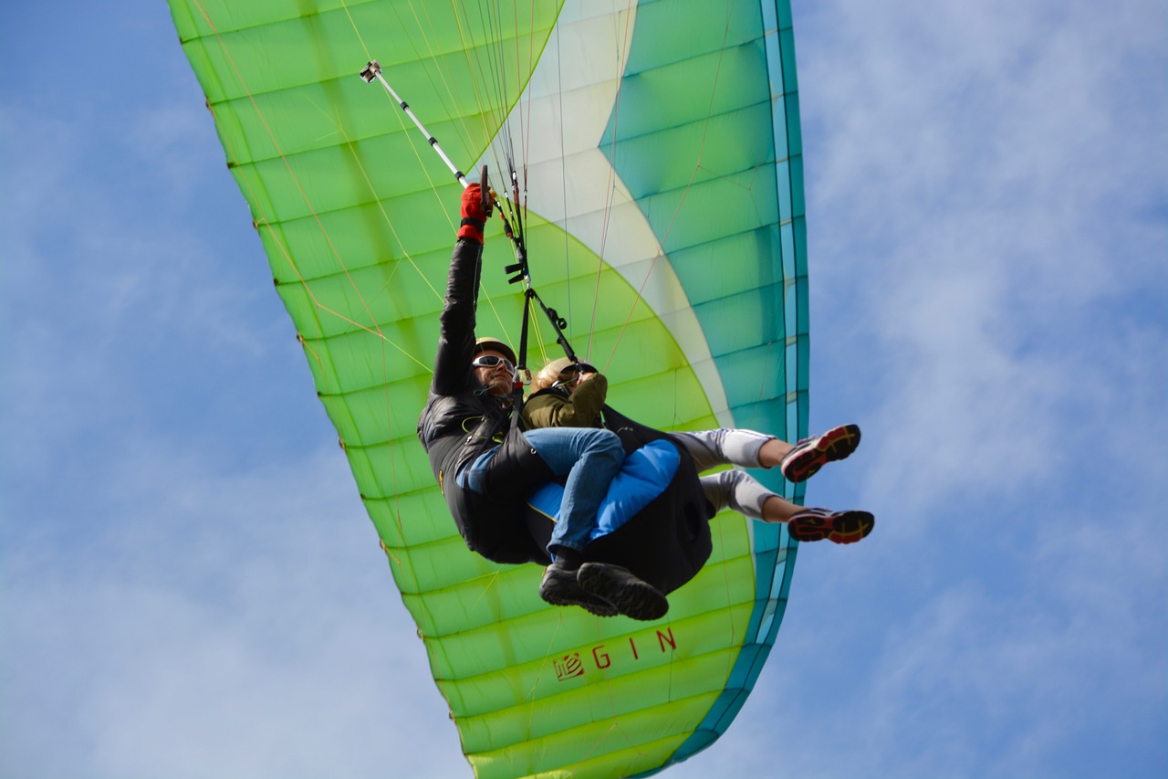 paragliding  paraglider  duo free photo