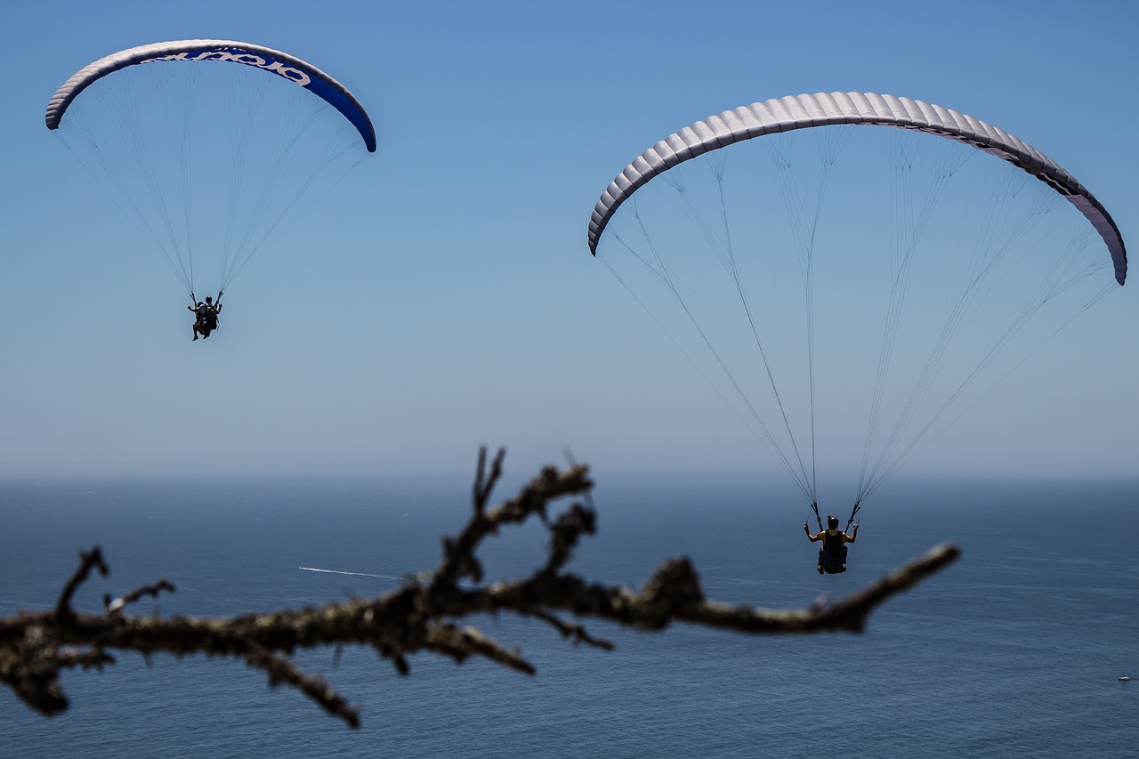 paragliding  water  sport free photo