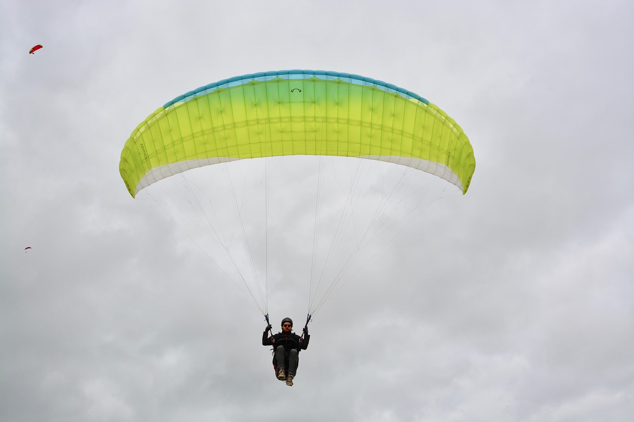paragliding  paraglider  landing free photo