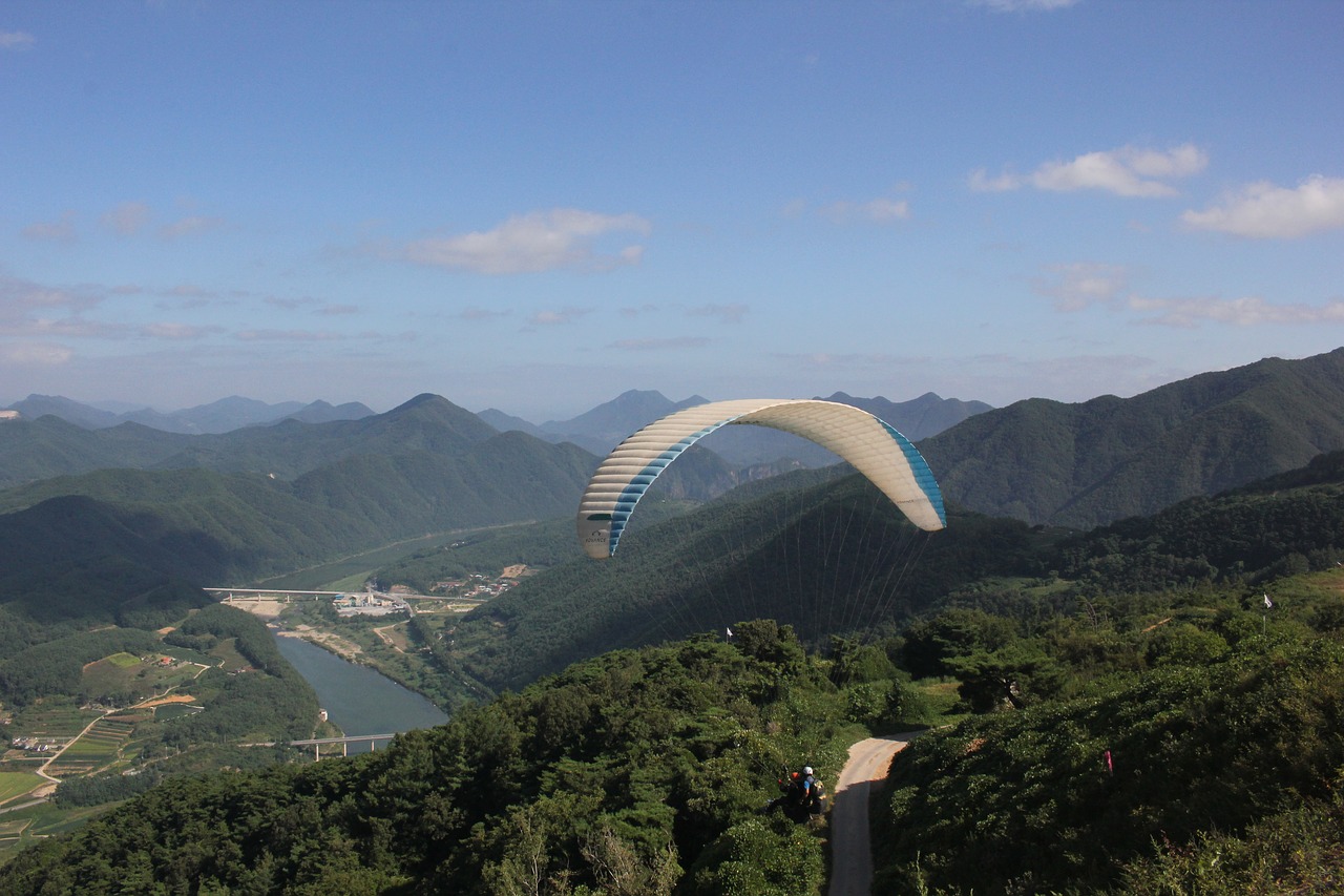 paragliding  flight  sport free photo