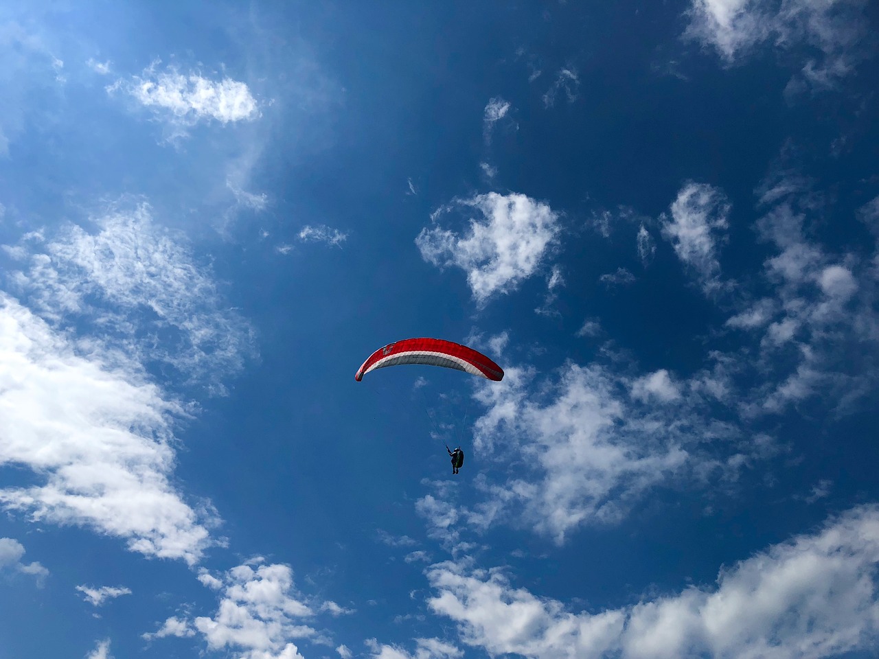 paragliding  sky  sport free photo