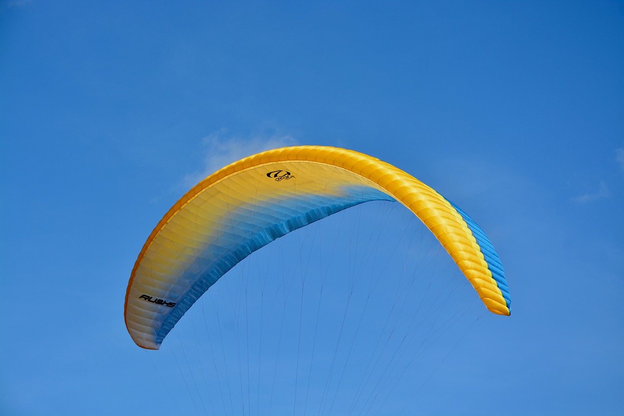 paragliding  paraglider wing  wing free photo