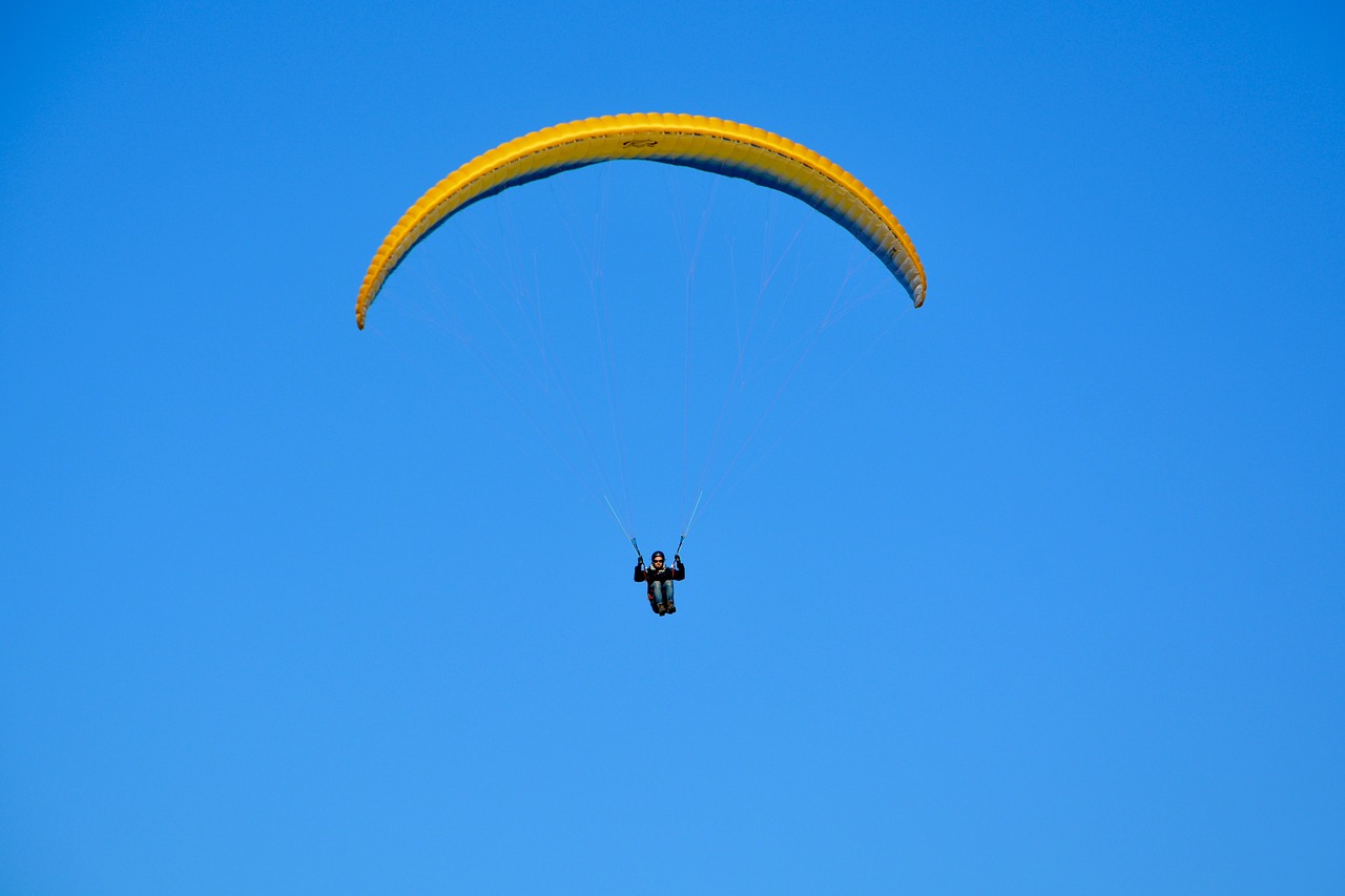 paragliding  paraglider  paragliding duo free photo