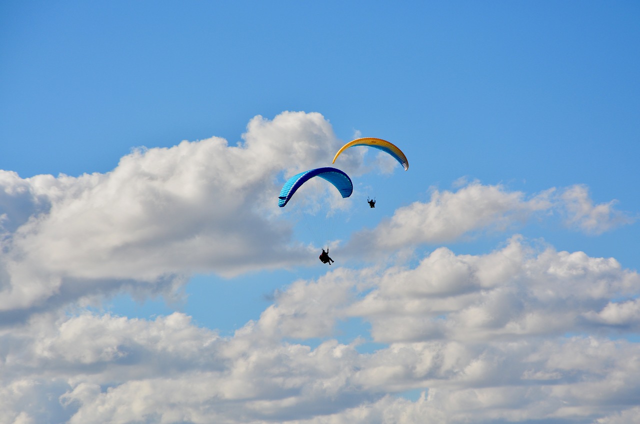 paragliding  paraglider  sailing free photo