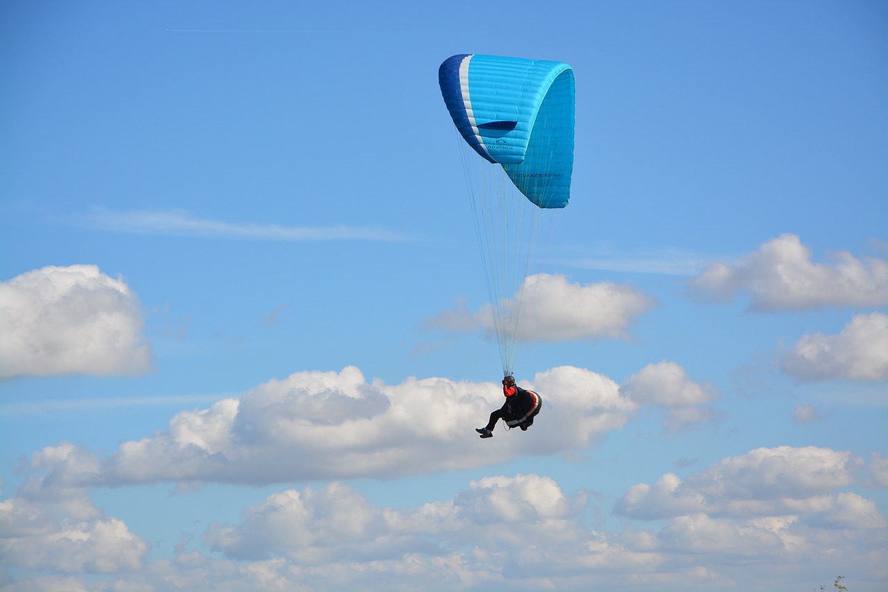 paragliding  paraglider  paragliding bi-place wing free photo