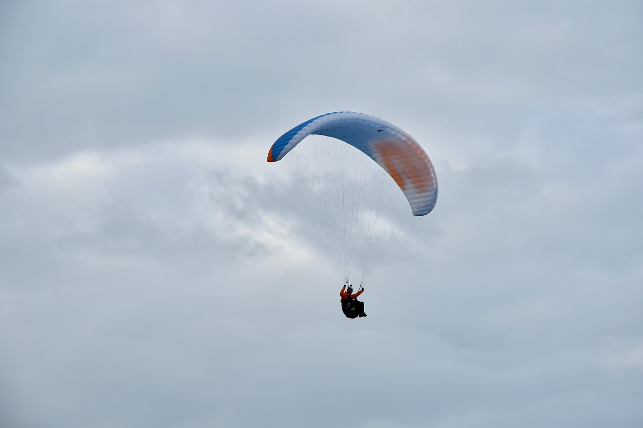 paragliding  paraglider  sailing wing free photo