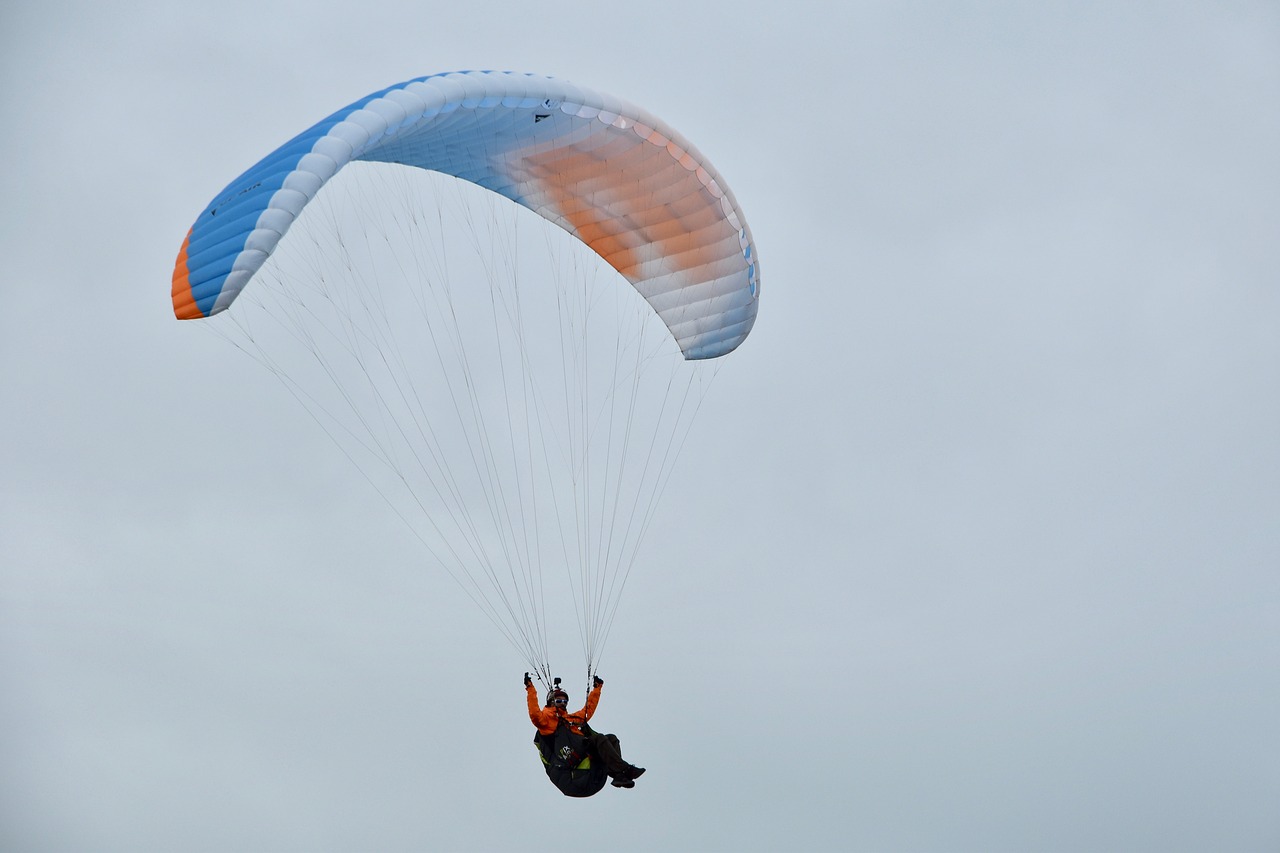 paragliding  paraglider  sailing wing free photo