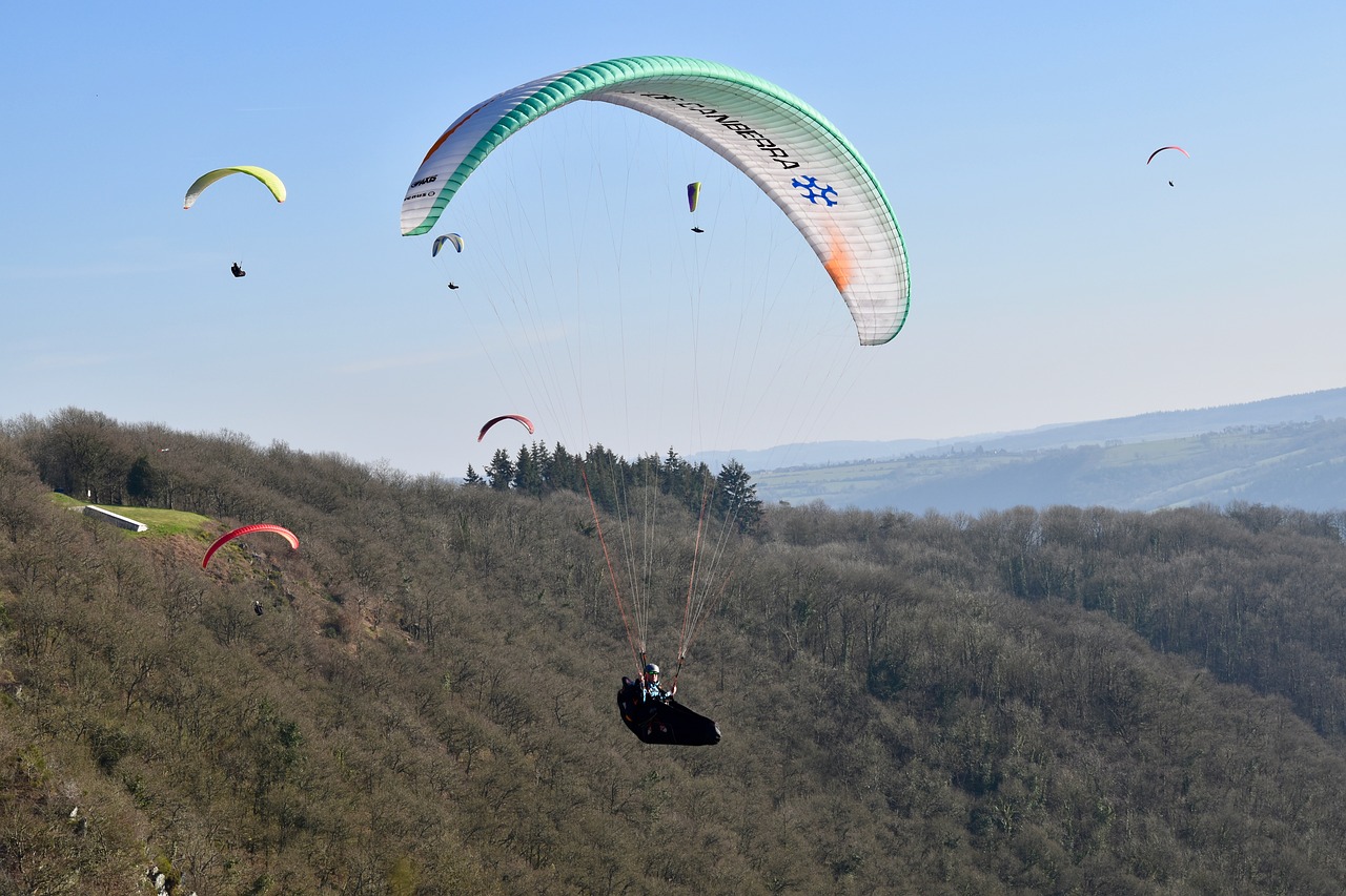 paragliding  paraglider  sails of paragliders free photo