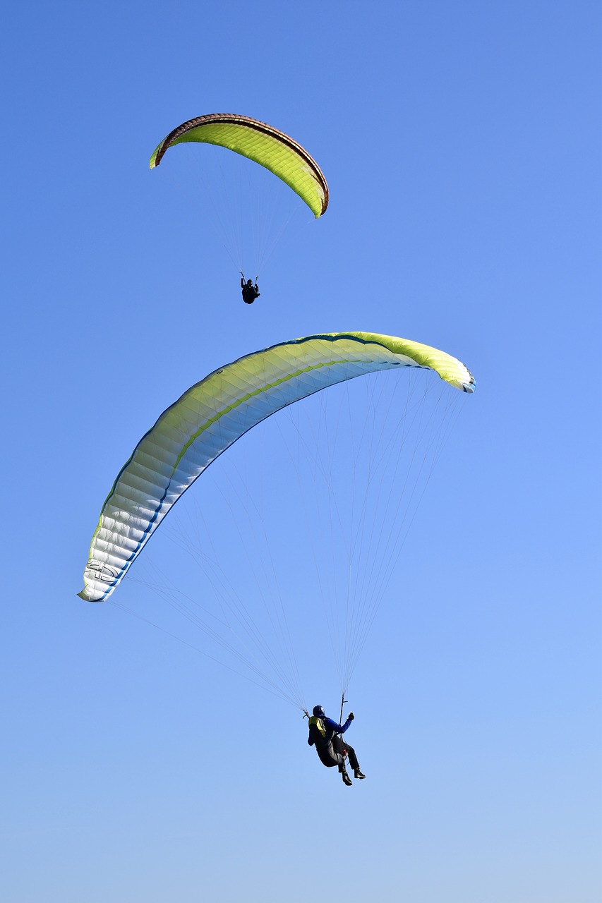 paragliding  paraglider  sport free photo