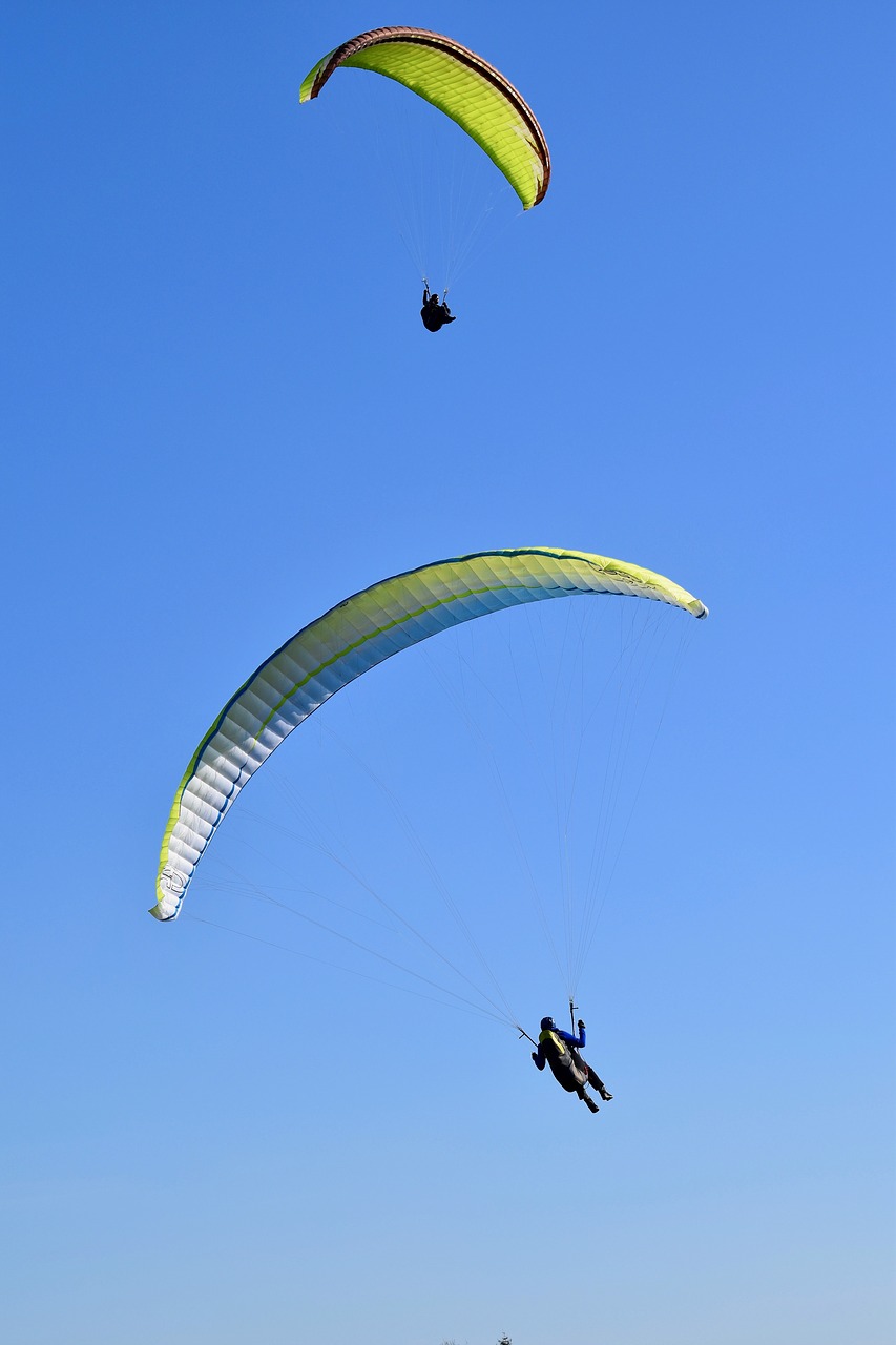 paragliding  paraglider  sails free photo