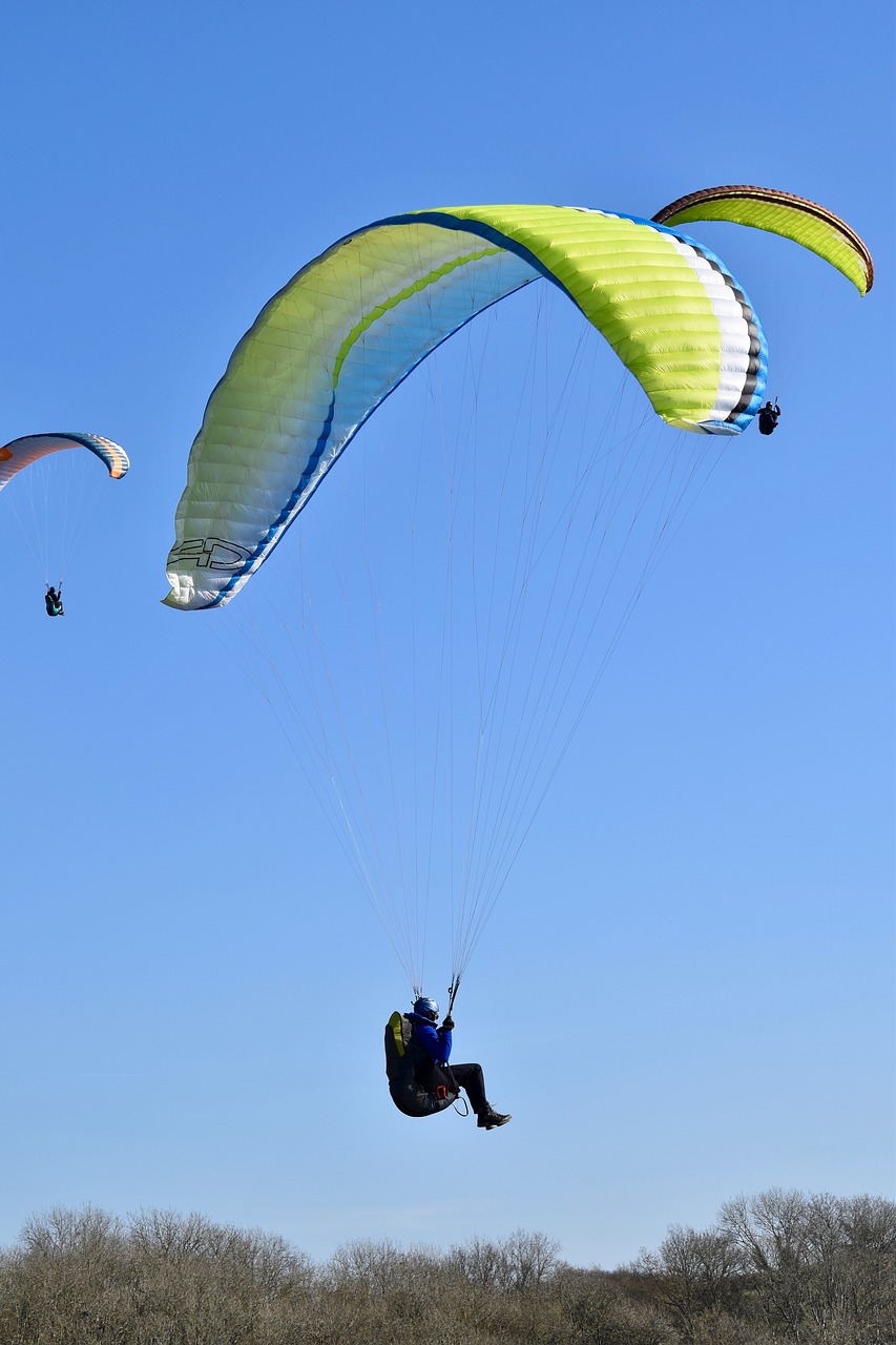paragliding  paraglider  sails free photo
