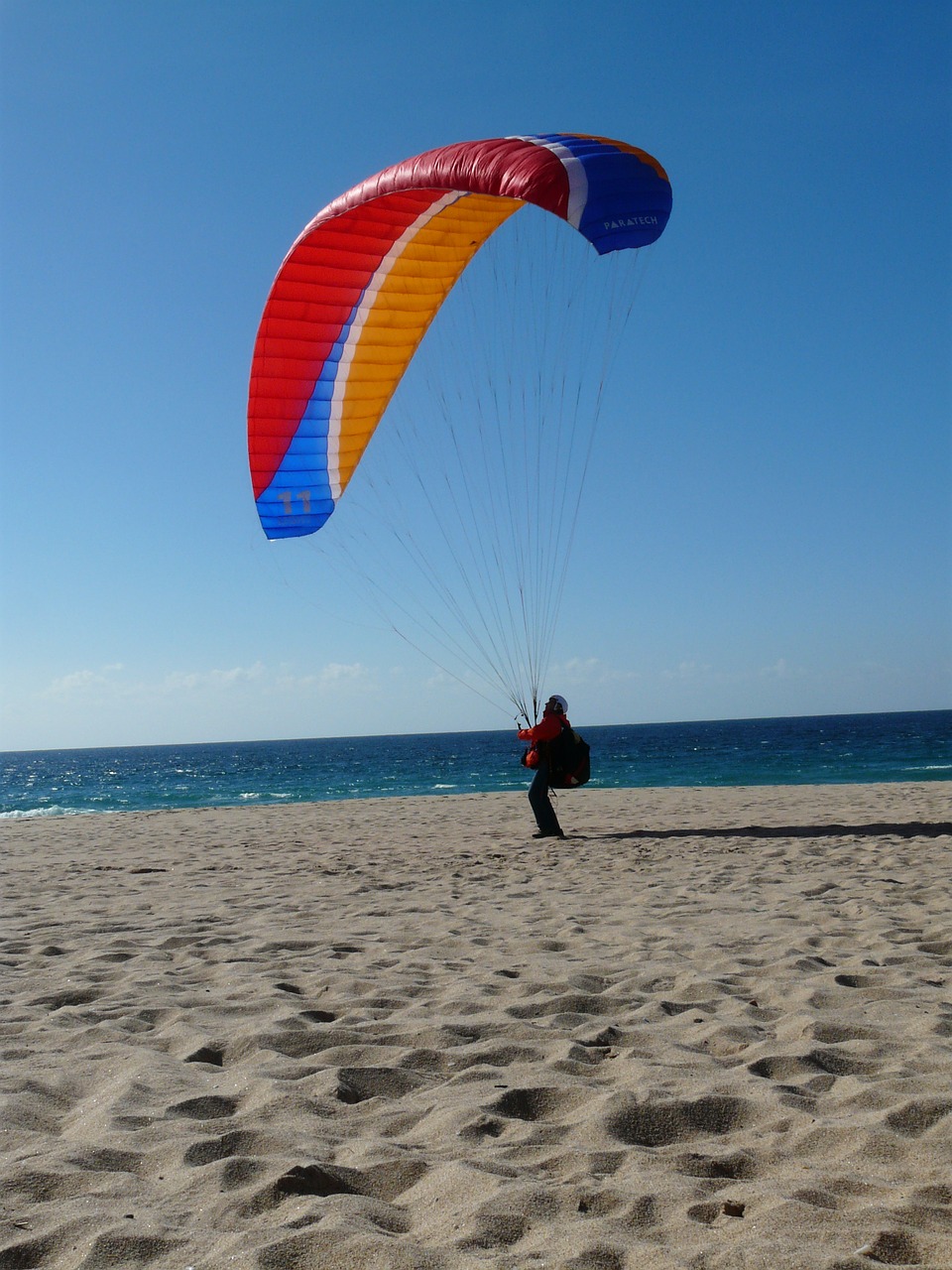 paragliding beach sea free photo
