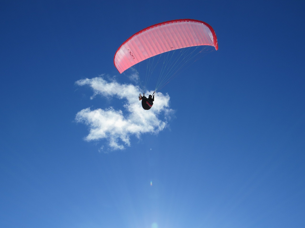 paragliding freedom parasailing free photo