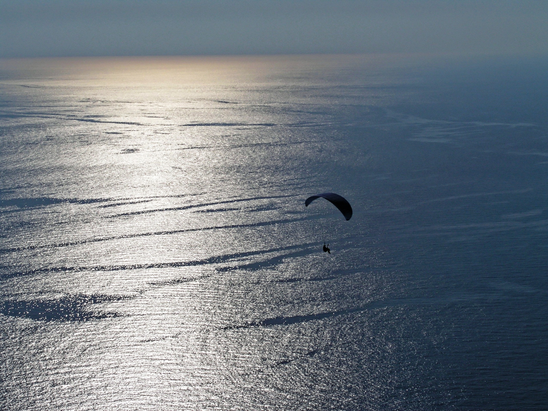 paragliding paraglider sport free photo