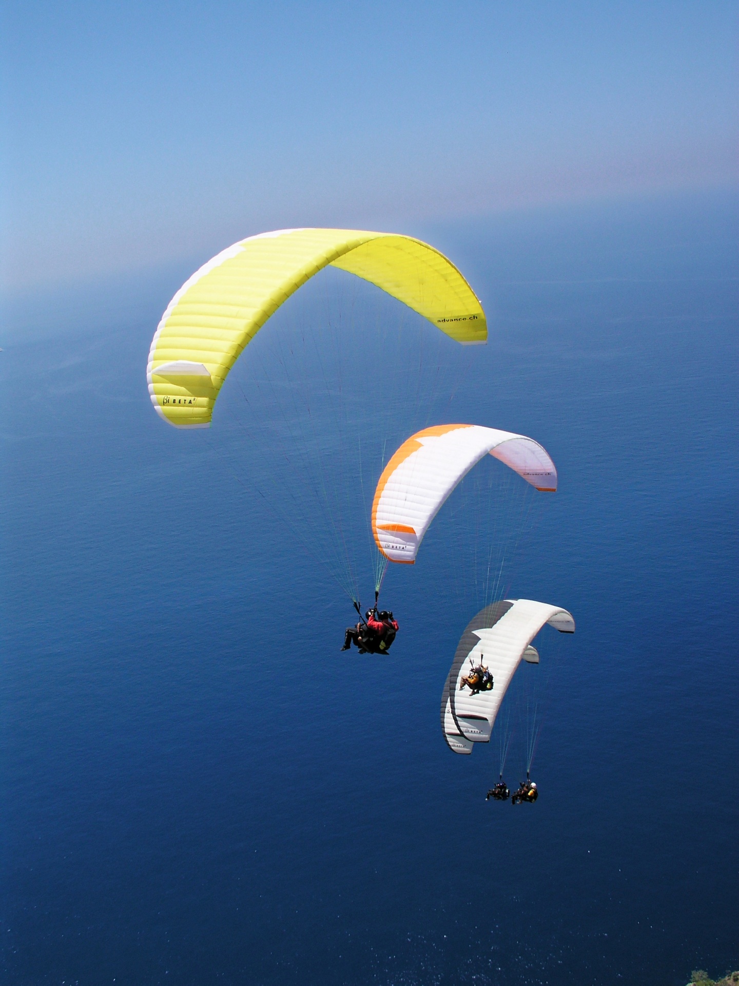 paragliding parachute sky free photo