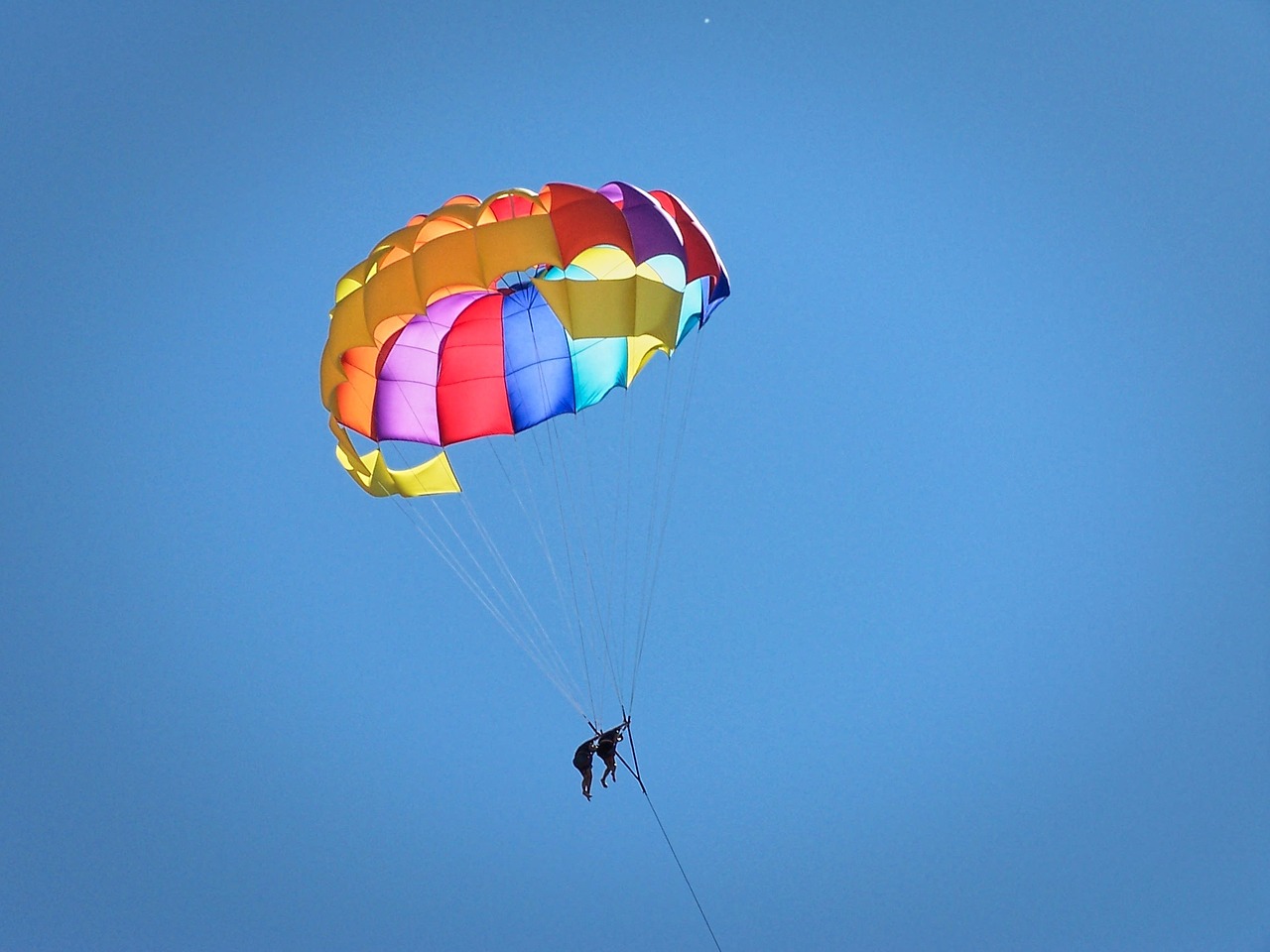 paragliding turkey holiday free photo