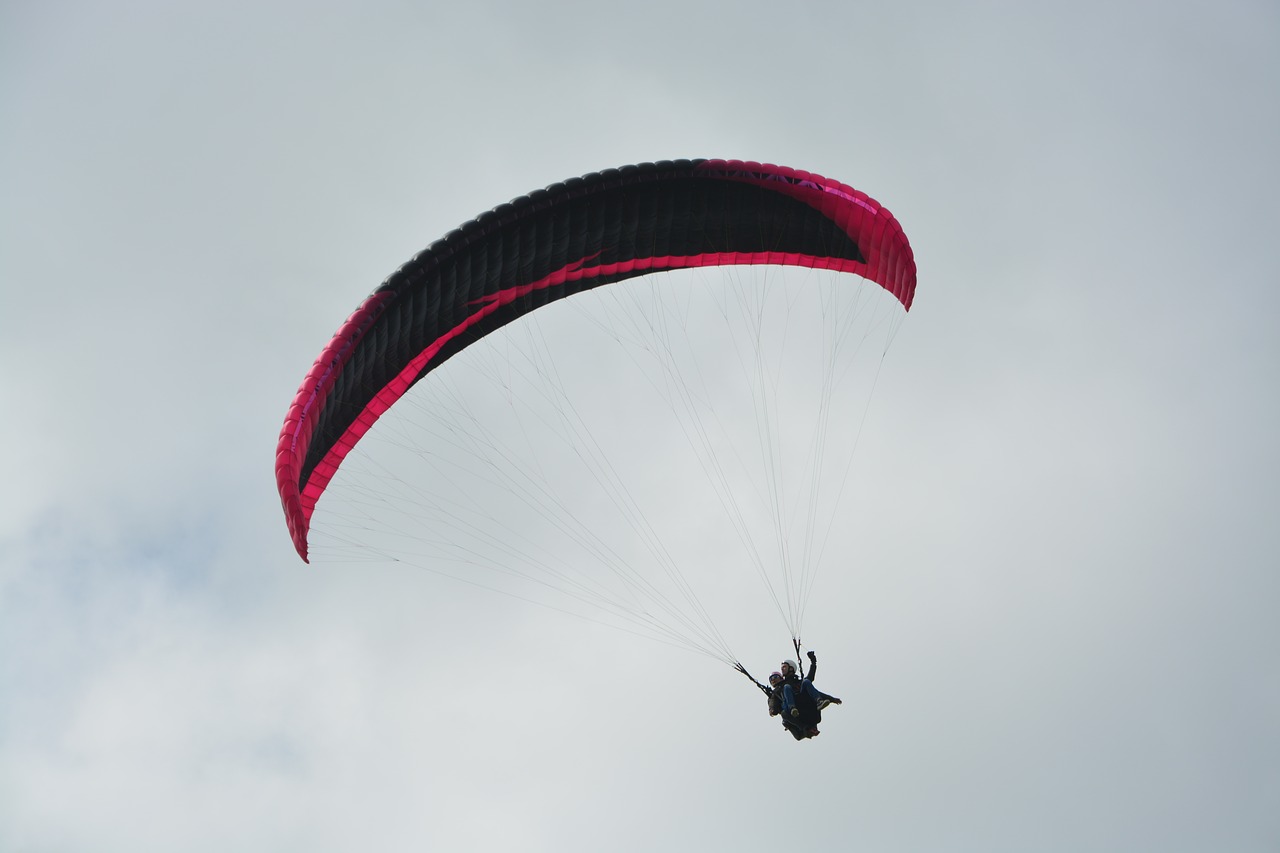 paragliding bi-place  paragliding  two harnesses free photo