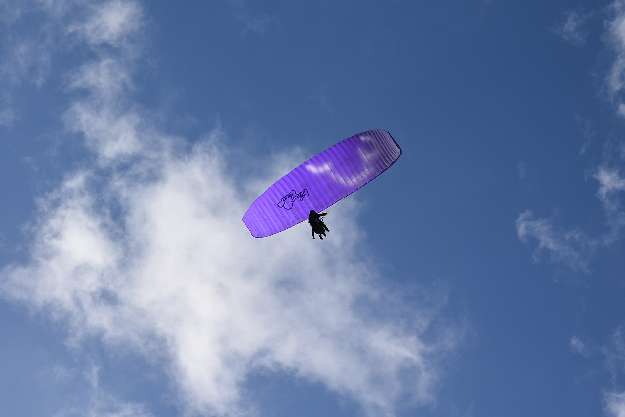 paragliding-paraglider  aircraft  veil purple free photo