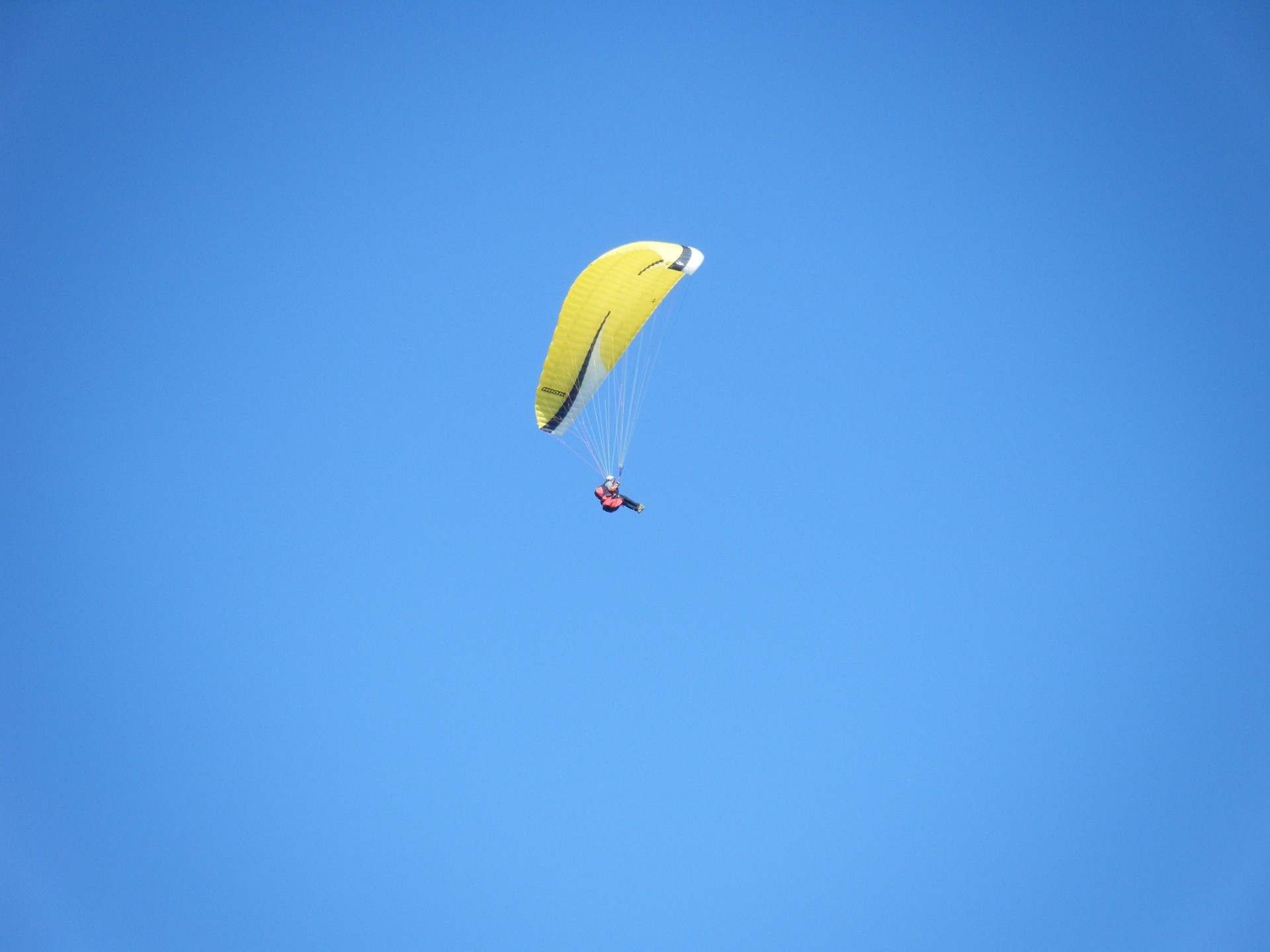 paraglide paragliding fly free photo